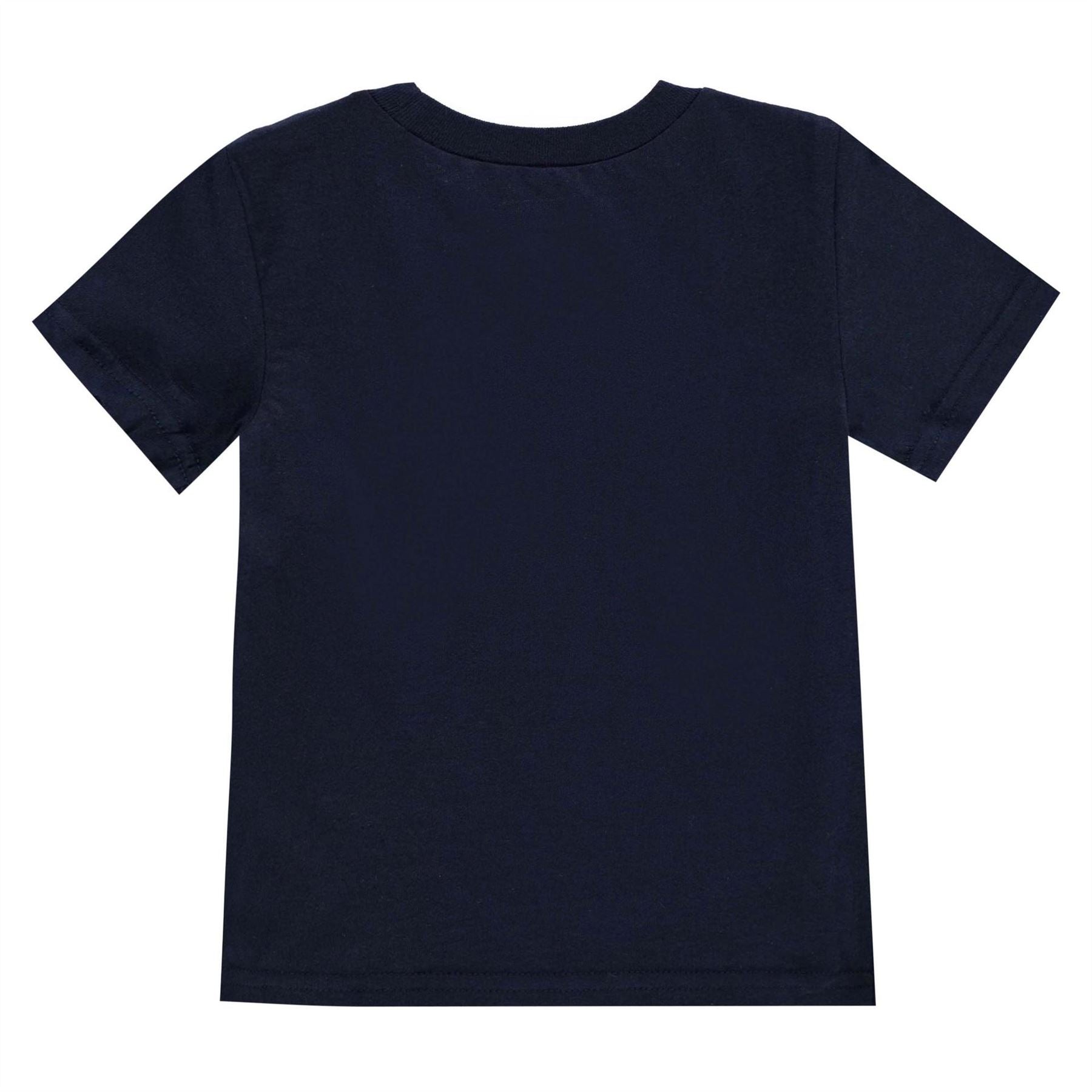 Polo Ralph Lauren Regular Fit Short Sleeve T-Shirt