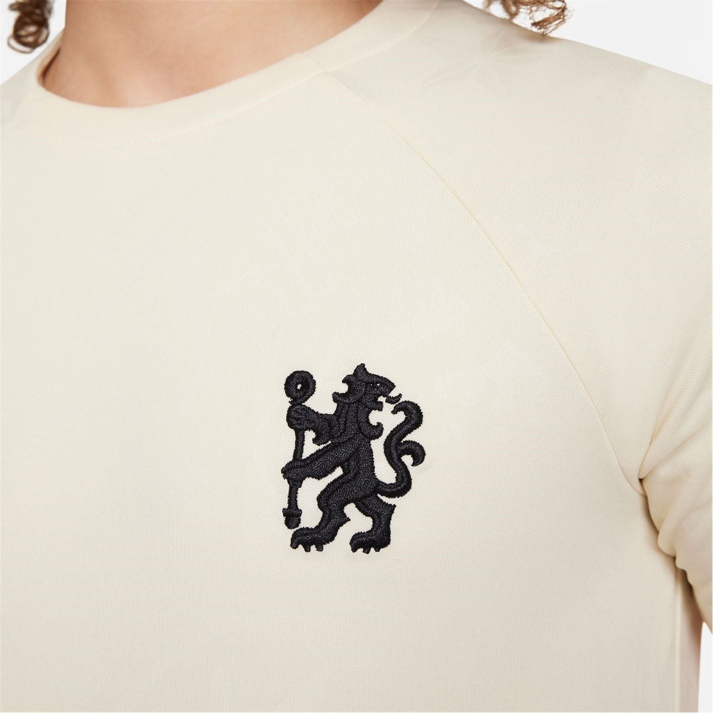 Nike Chelsea Fc Academy Pro Juniors  Pre Match Top 2023 2024