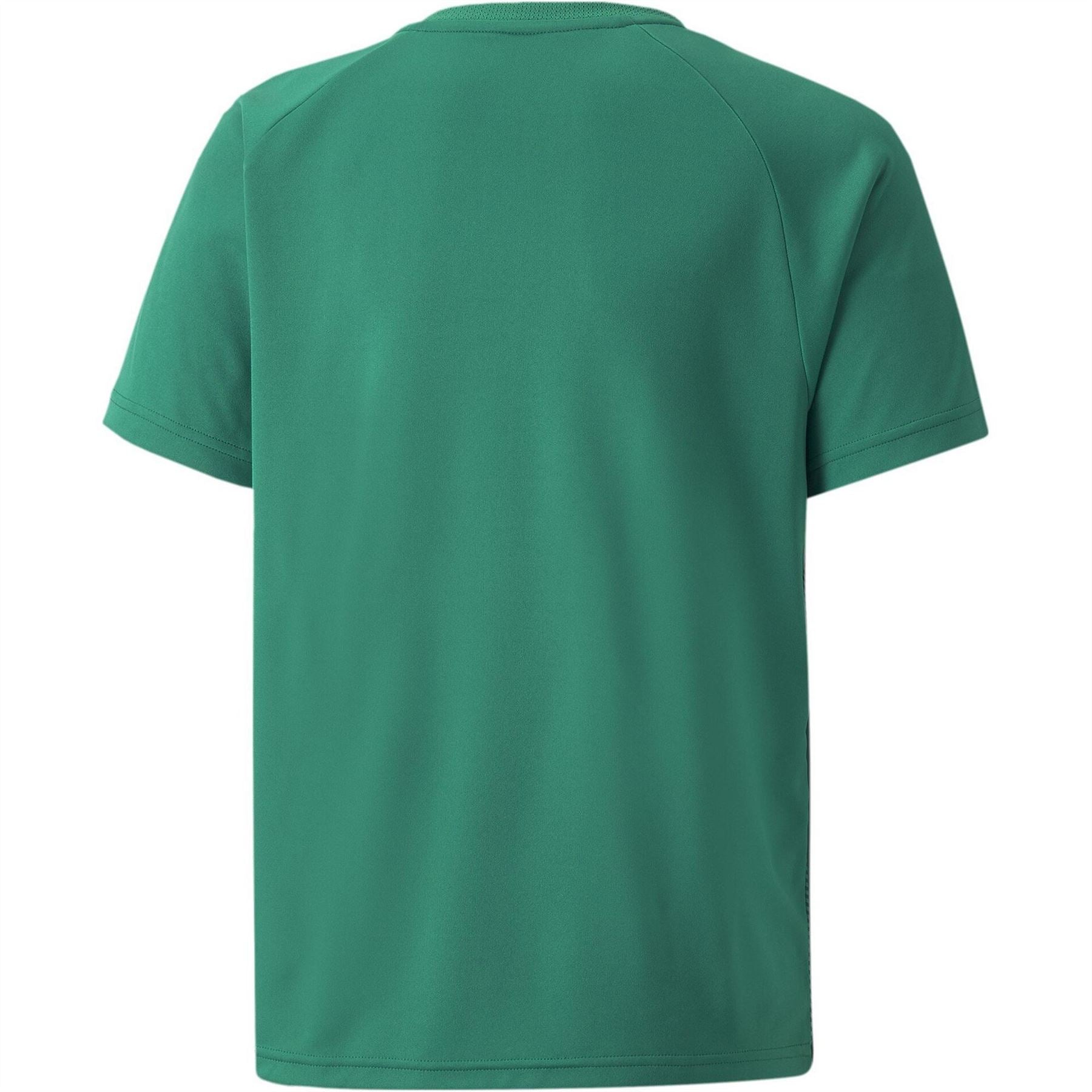 Puma Teamliga Striped Jersey Jr T-Shirt Unisex Kids