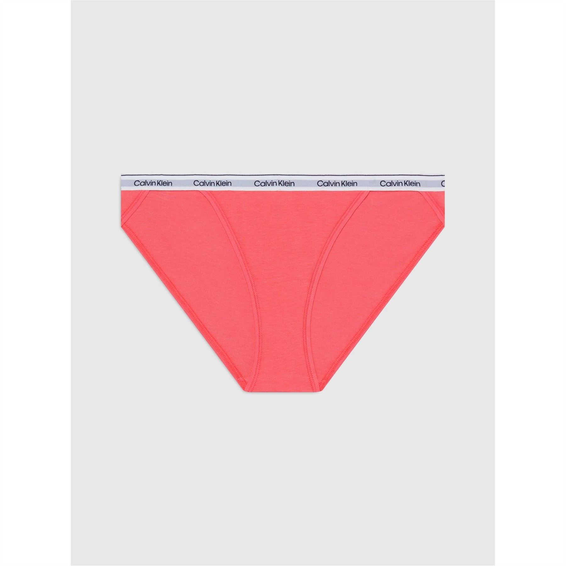 Calvin Klein Briefs