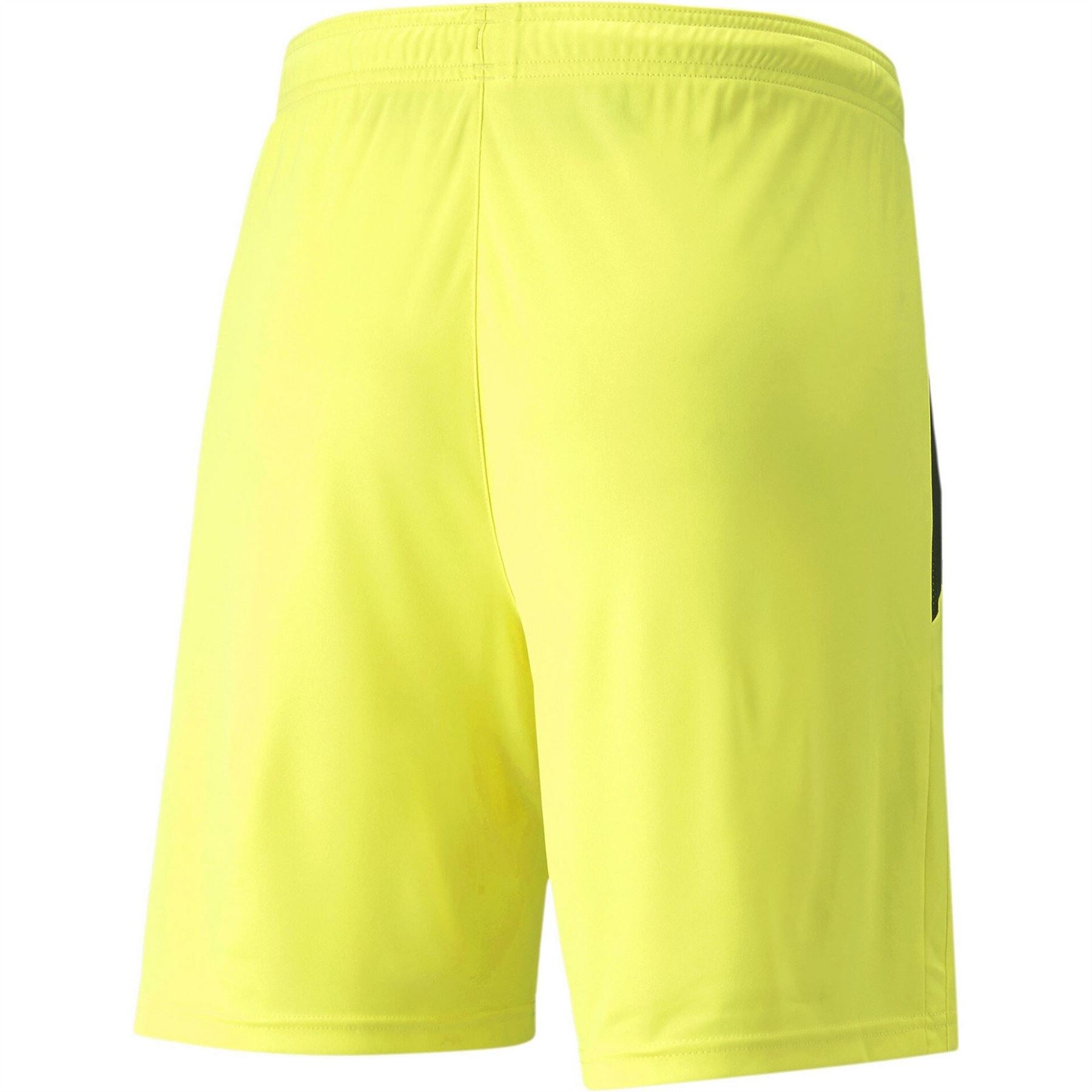 Puma Mens Teamliga Shorts Football Shorts