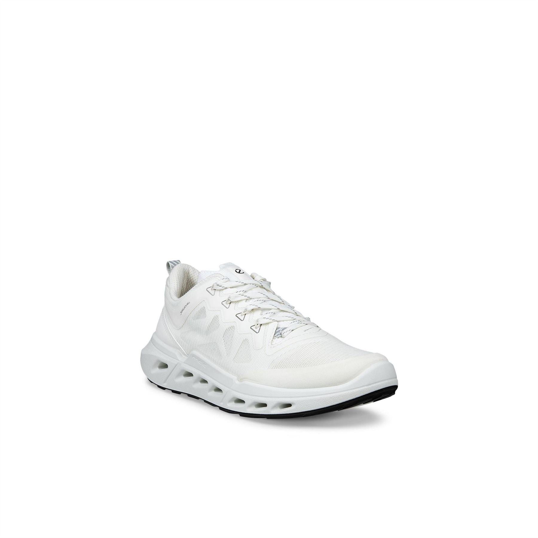 Ecco Biom 720 Ld62