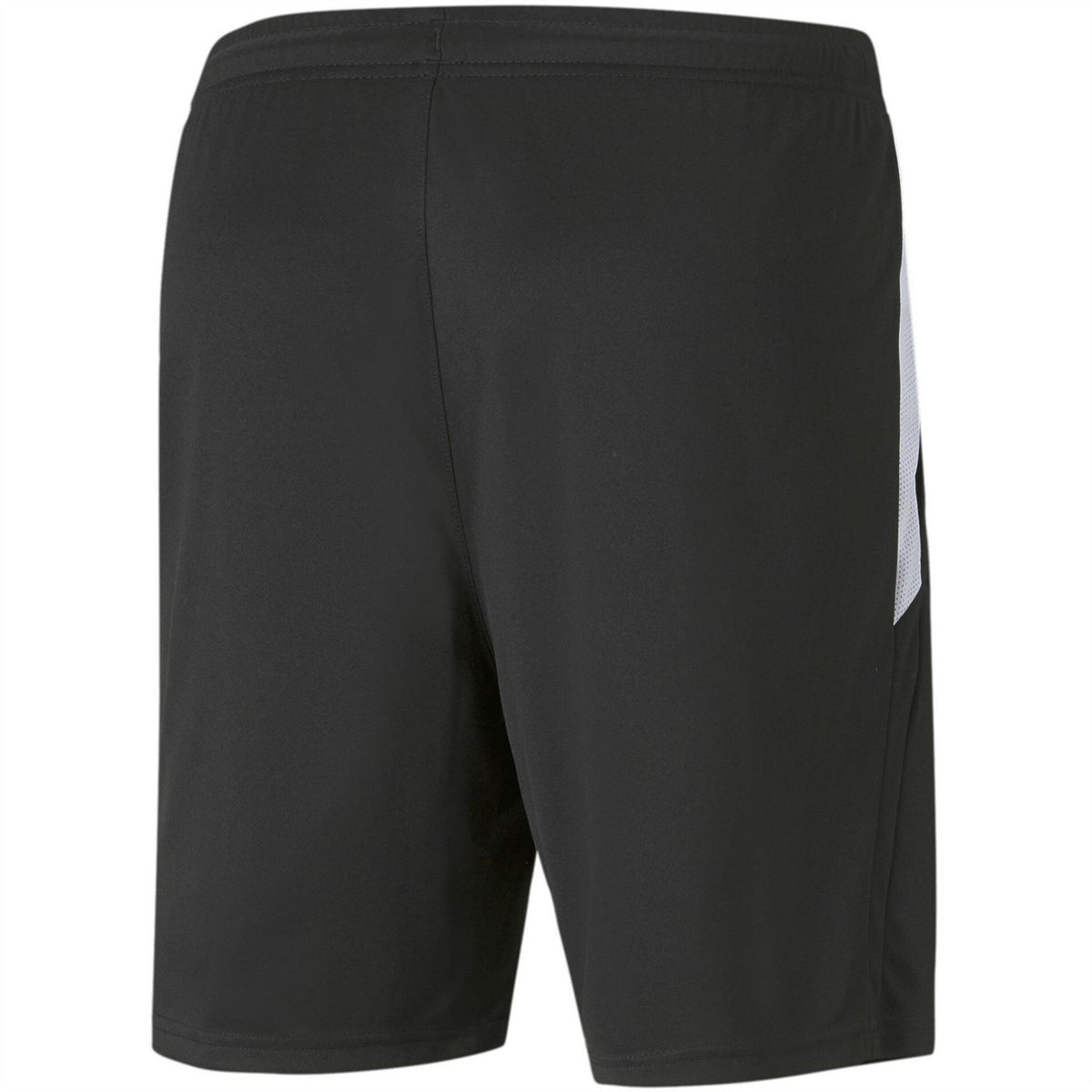 Puma Mens Teamliga Training Shorts Football Shorts