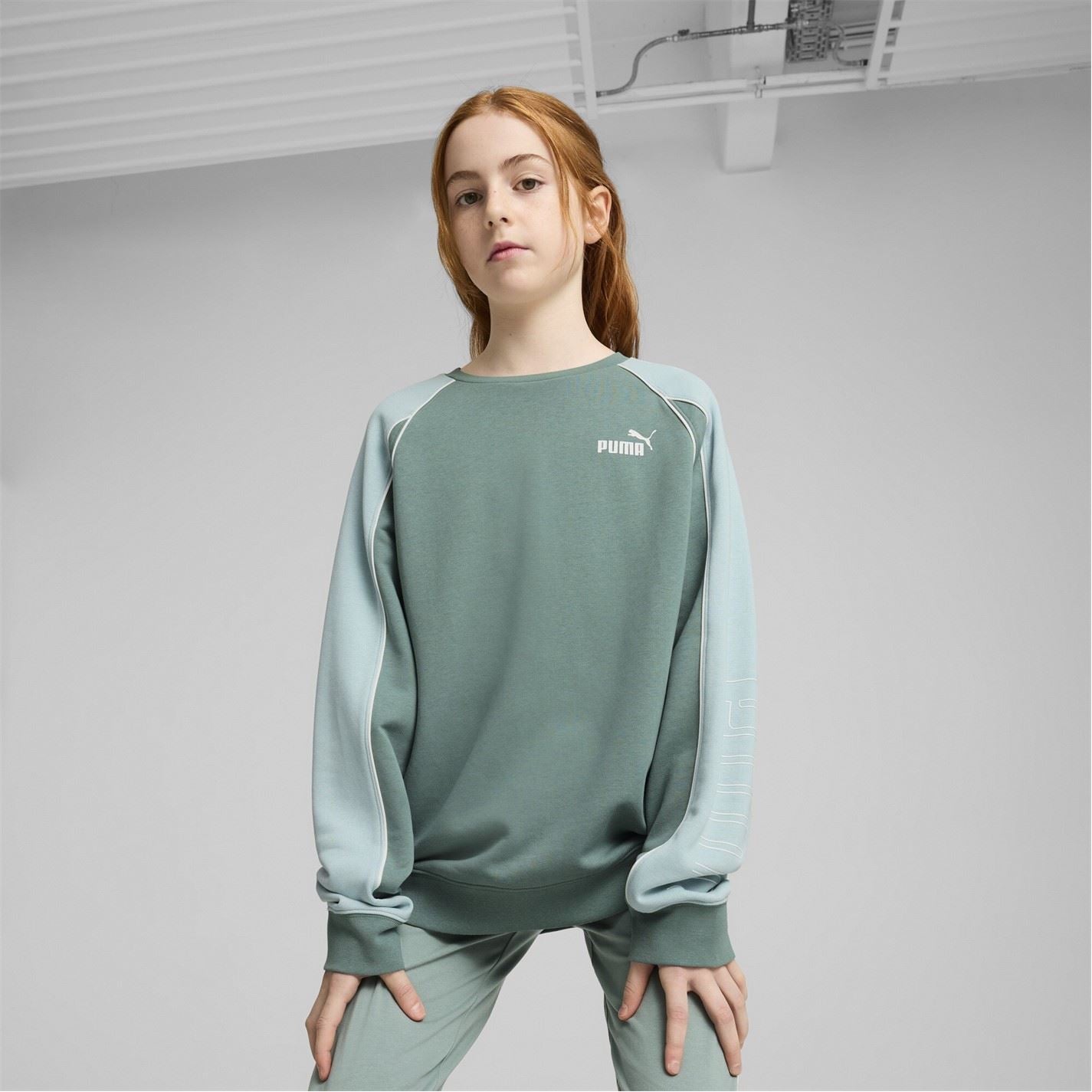Puma Crew Neck Regular Fit Long Sleeve Sweatshirt
