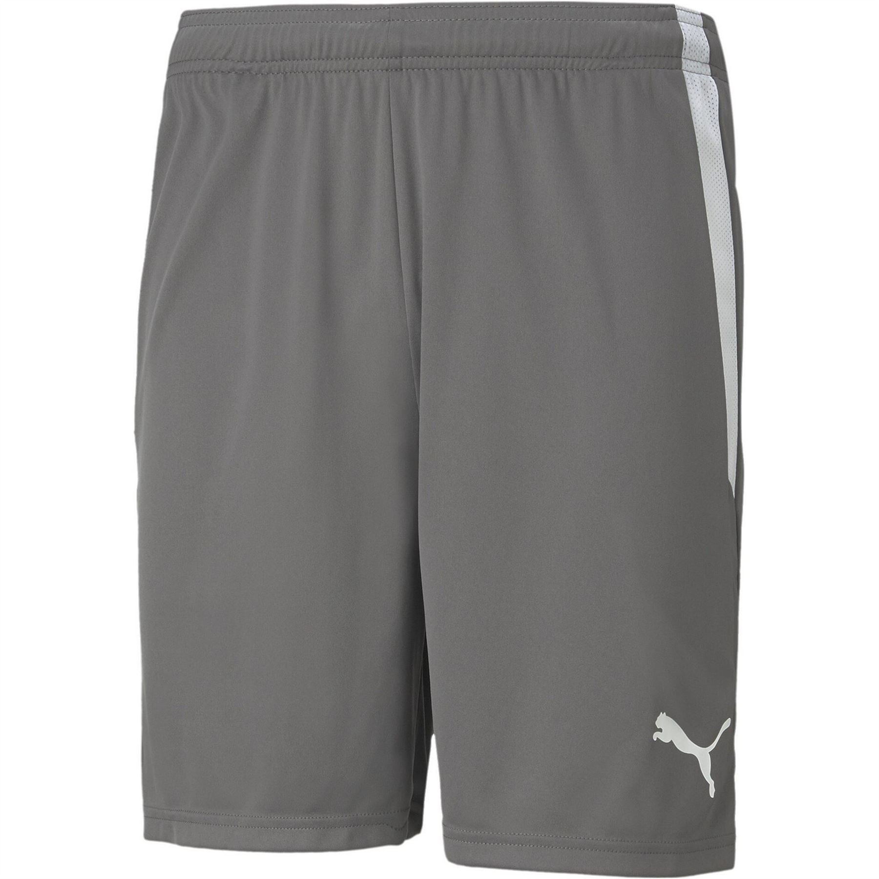 Puma Mens Teamliga Shorts Football Shorts