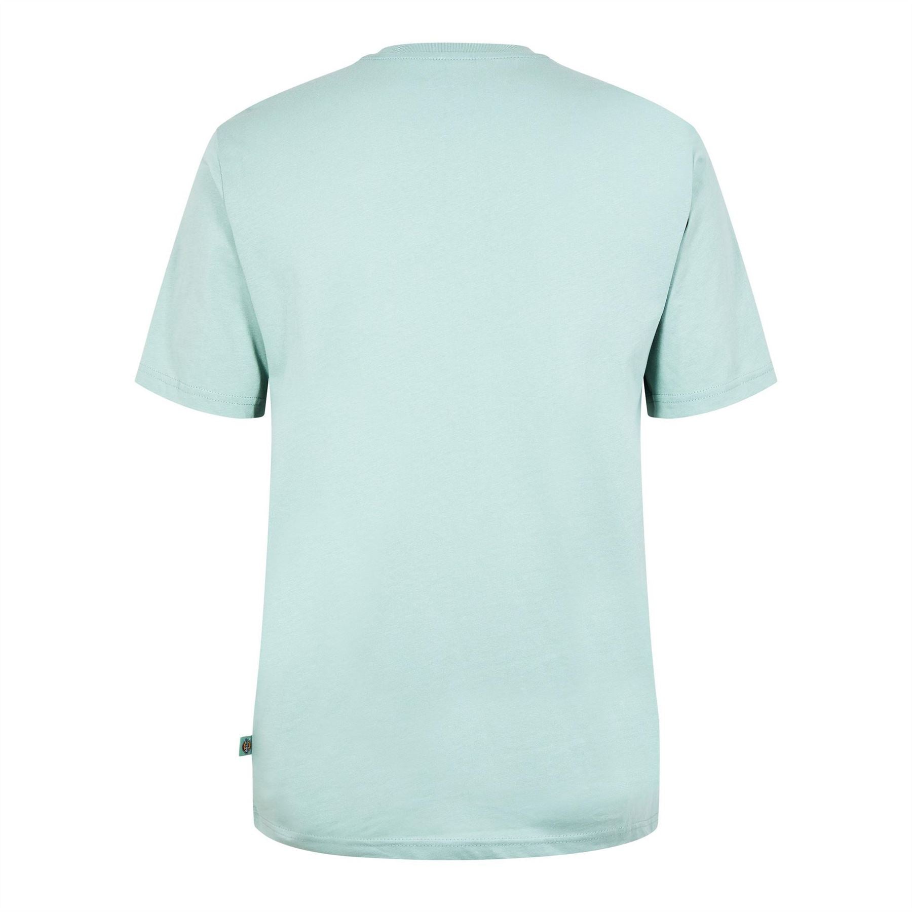 Dickies Regular Fit Mapleton T-Shirt
