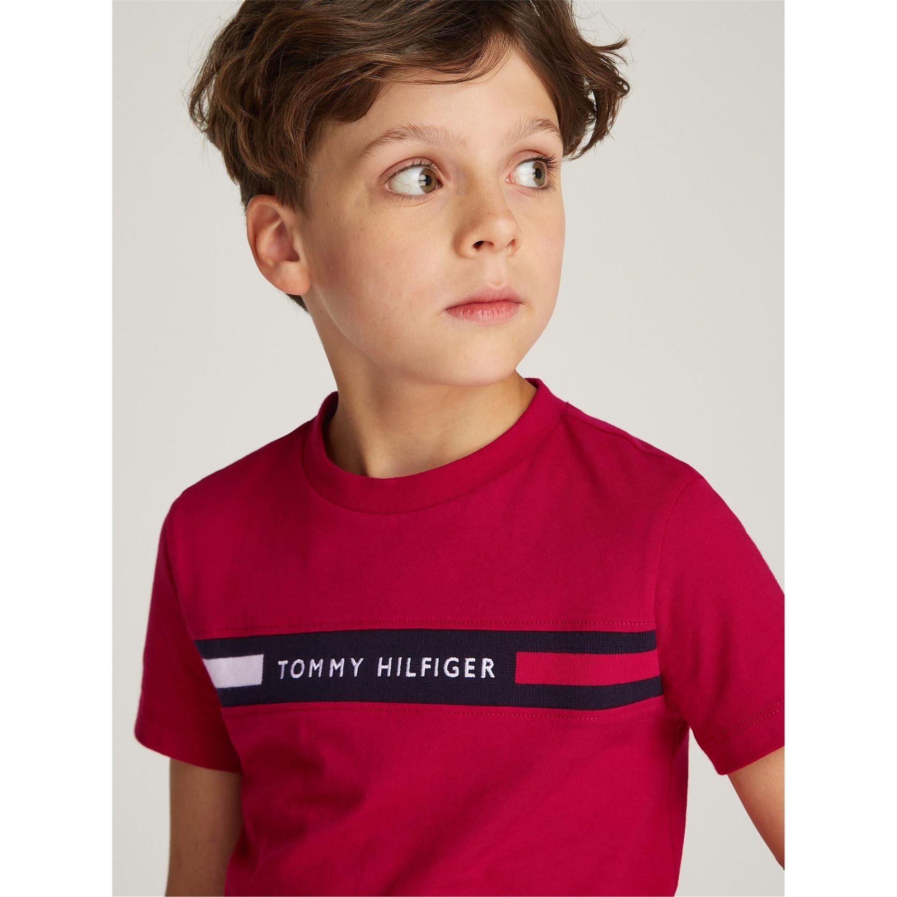 Tommy Hilfiger Regular Fit Crew Neck Short Sleeve T-Shirt
