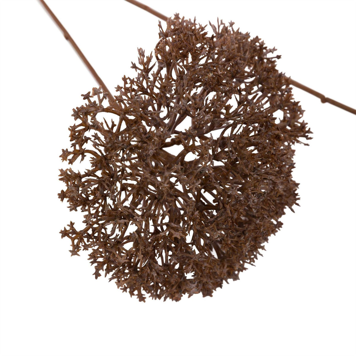 Gallery 3 Pk L Pom Pom 64