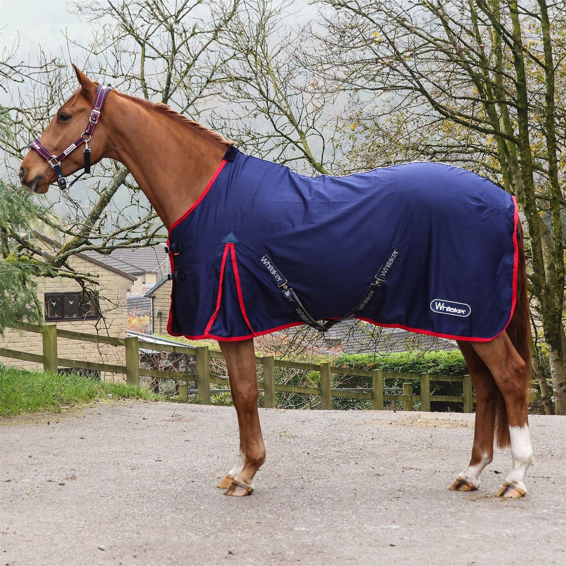 John Whitaker Whitaker Rastrick Multipurpose Horse Rug