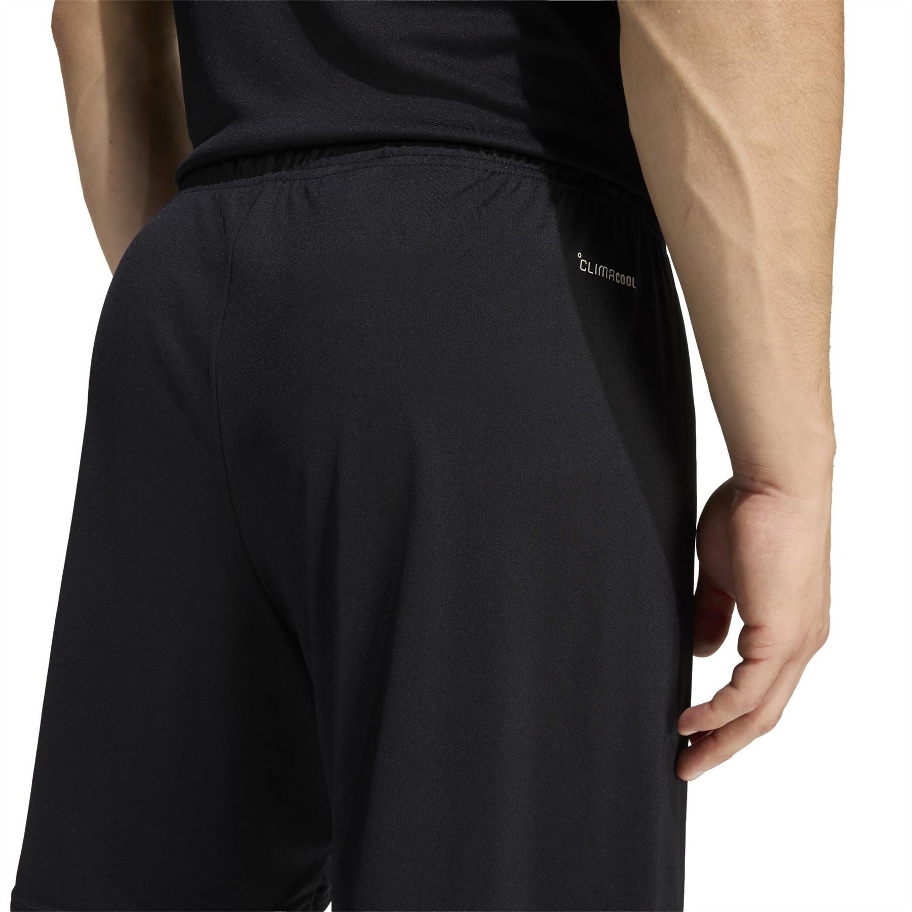 adidas Mens Entrada 22 Shorts