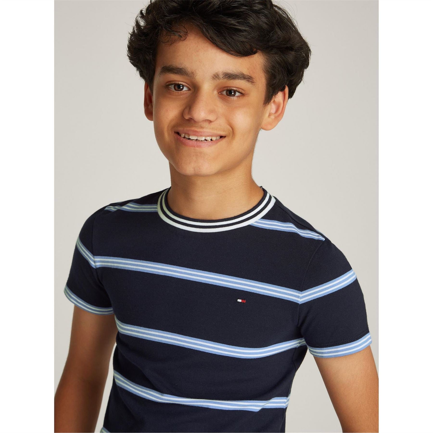 Tommy Hilfiger Regular Fit Crew Neck Short Sleeve T-Shirt