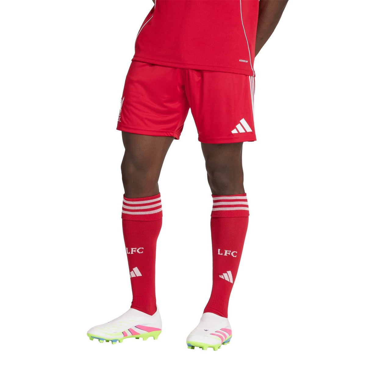 adidas Liverpool Home Shorts 2025 2026 Adults