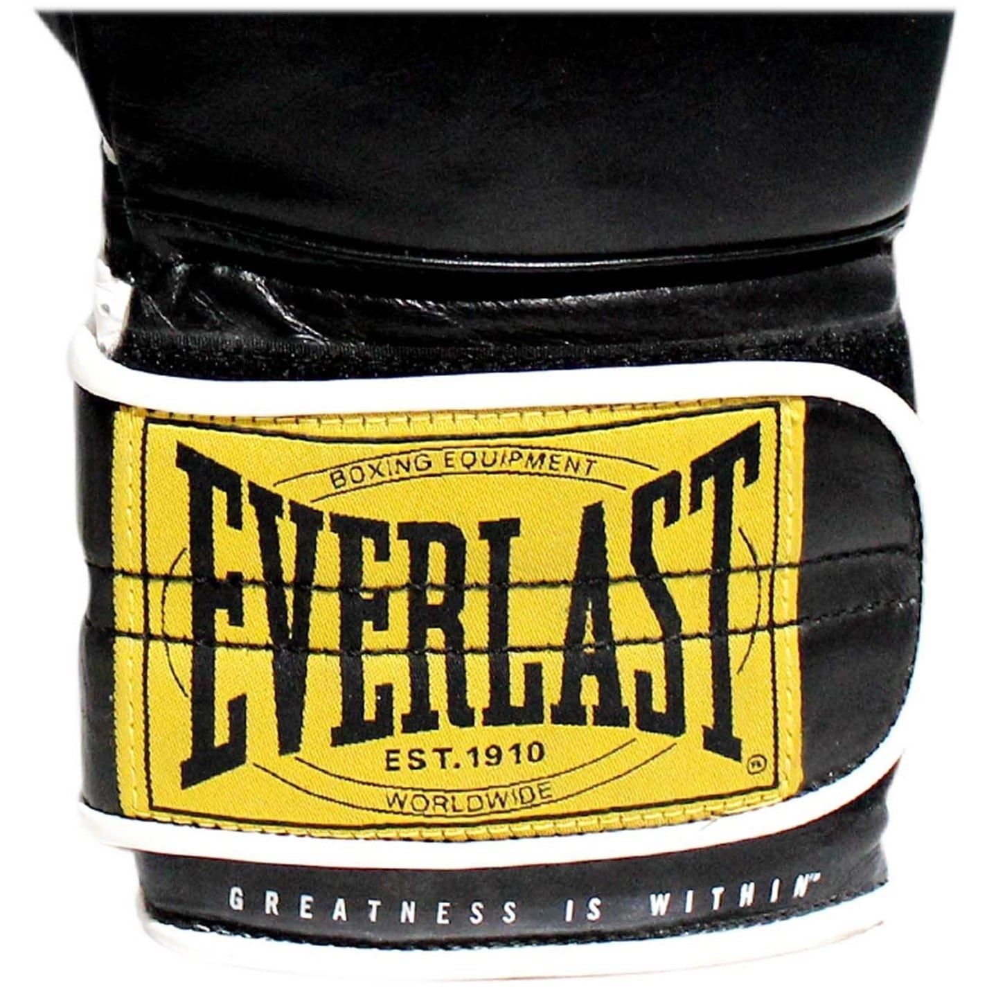 Everlast 1910 Sparring Glove
