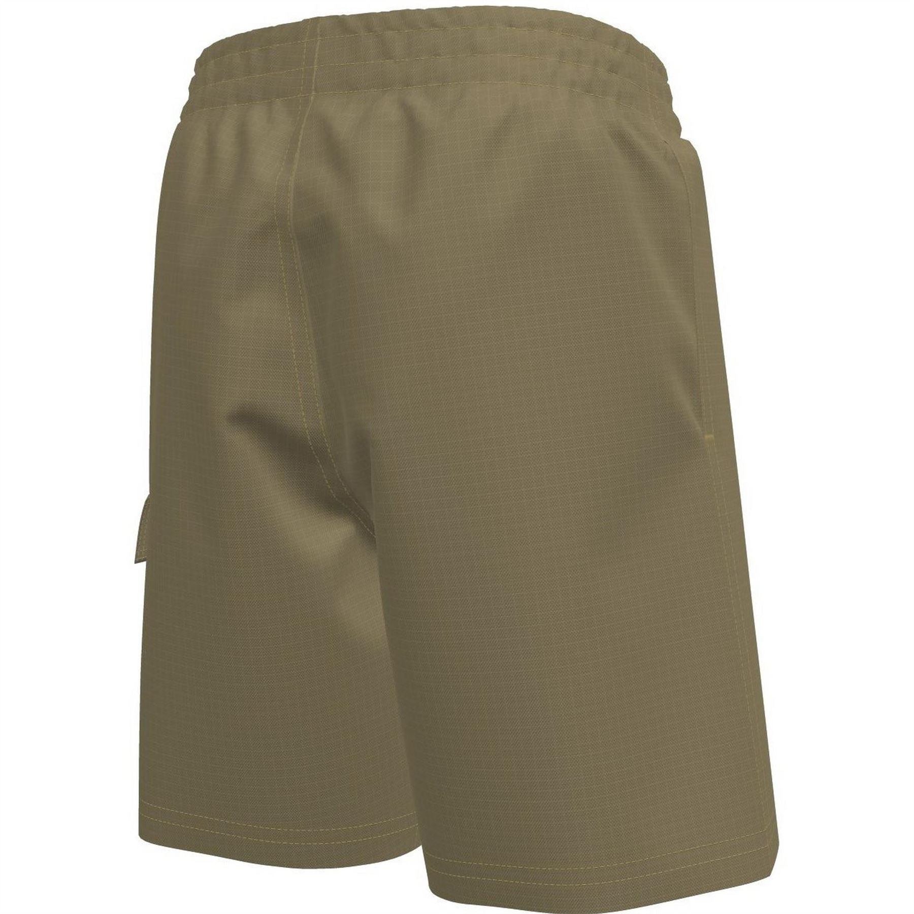 Nike Swim Shorts