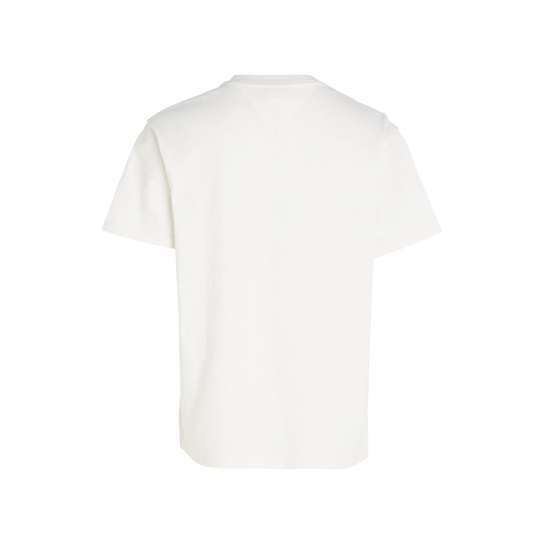 Tommy Jeans Varsity Regular Fit Lettering T-Shirt