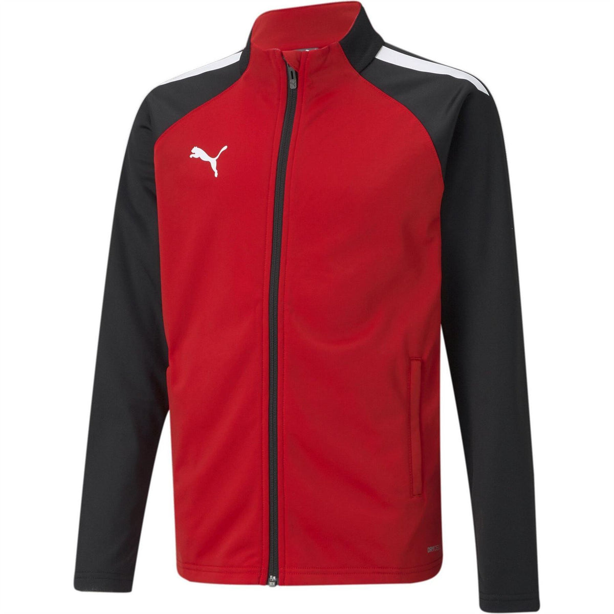 Puma Teamliga Training Jacket Jr Tracksuit Top Unisex Kids