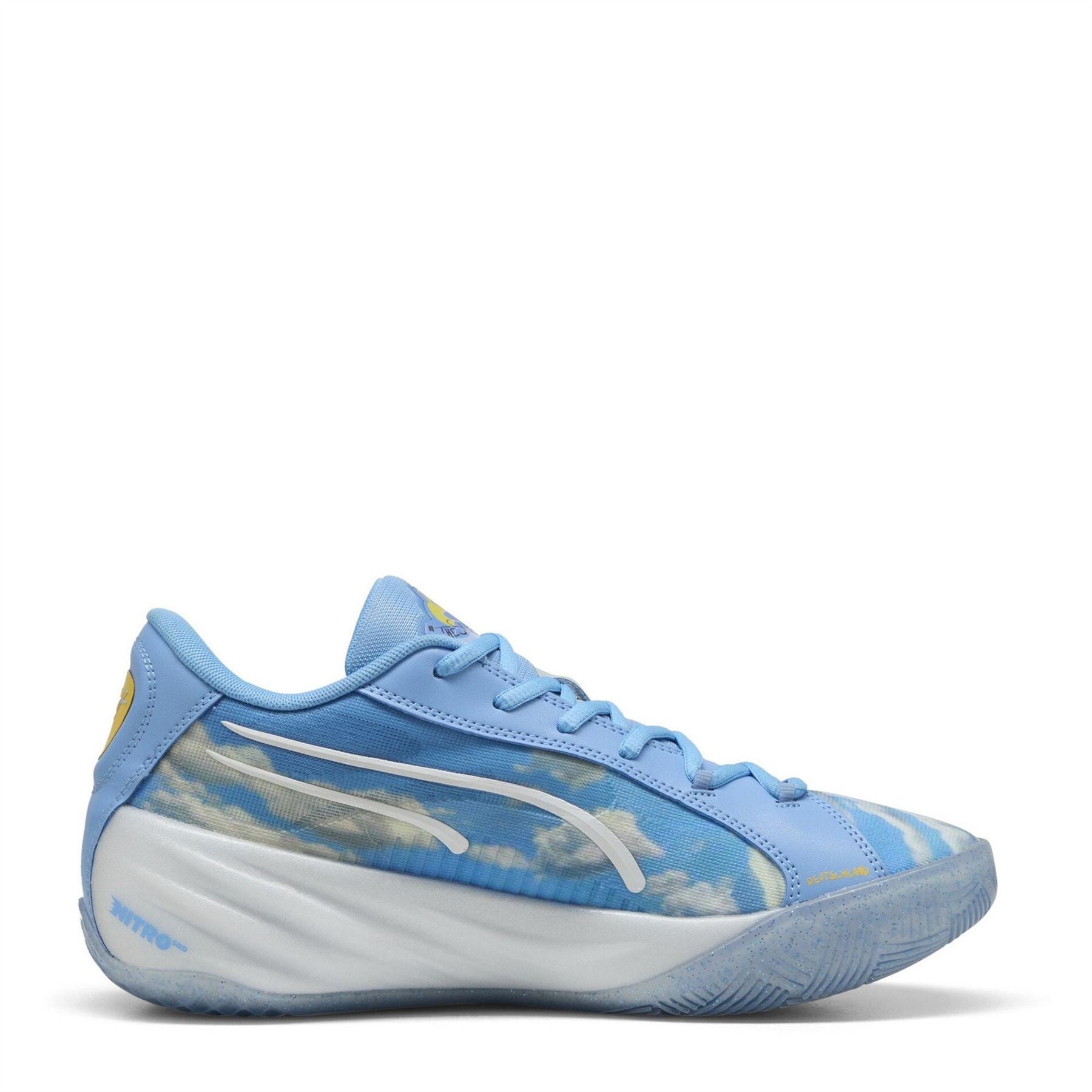 Puma All Pro Nitro Dennis Basketball Trainers