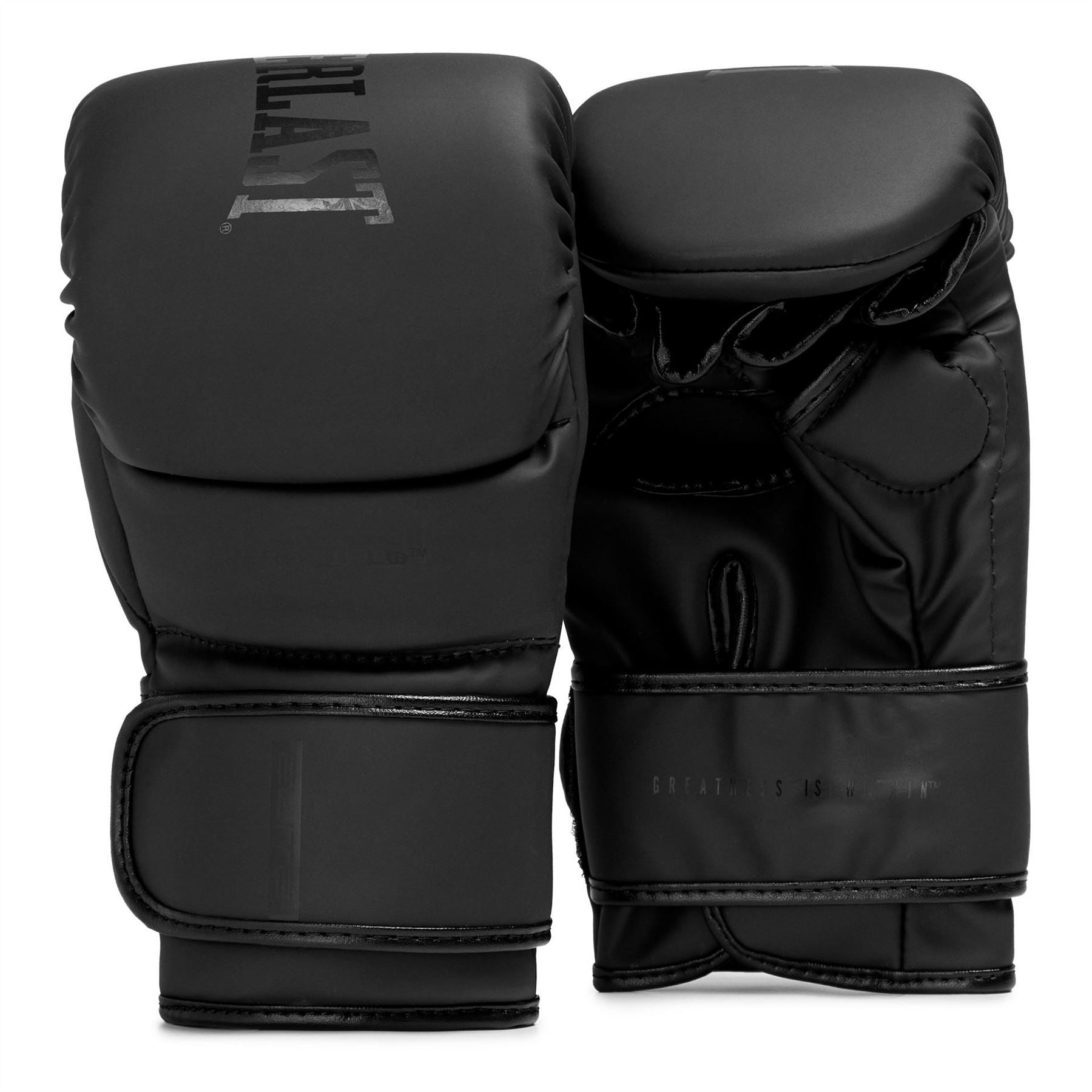 Everlast Mma Sparring Glove