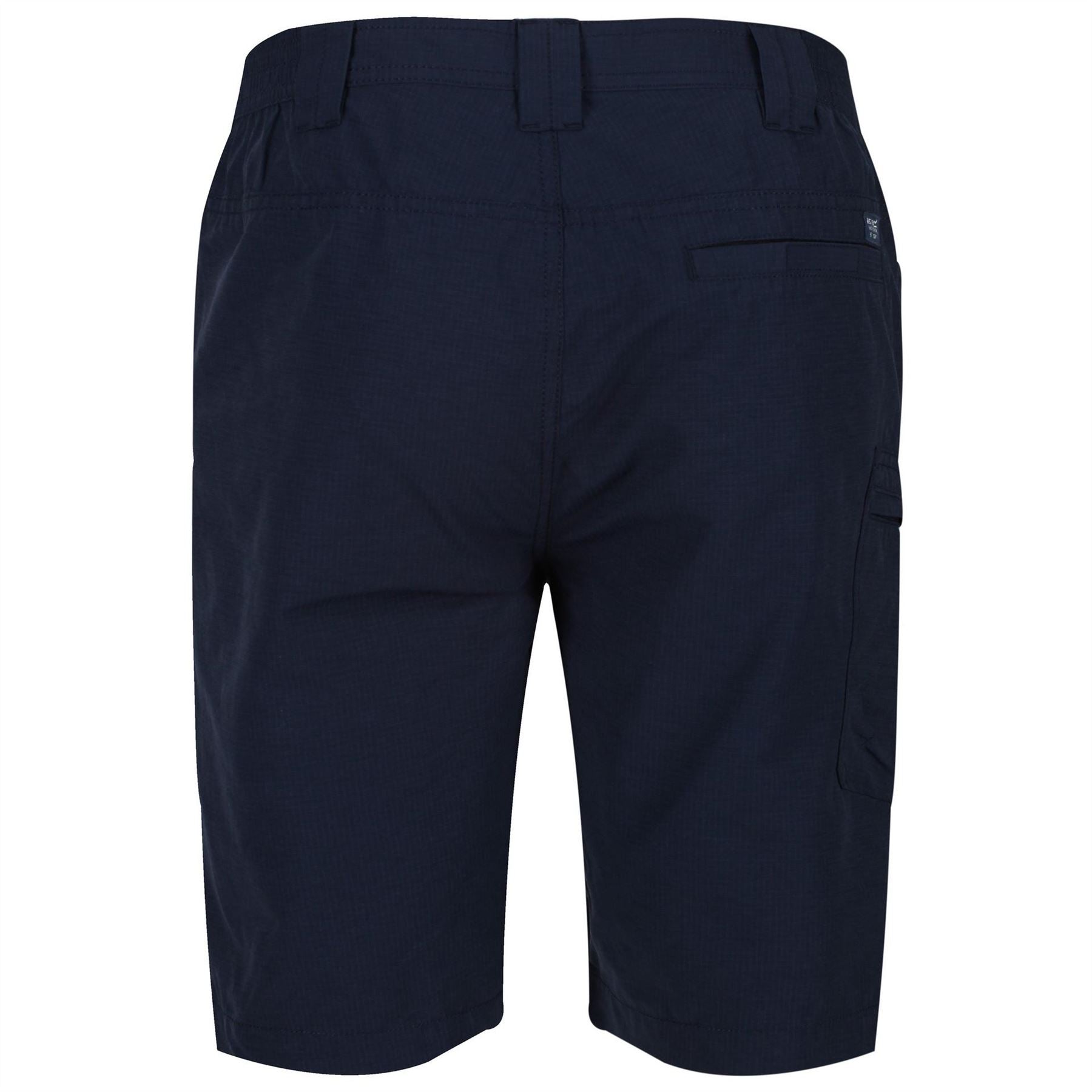 Regatta Delgado Chino Shorts