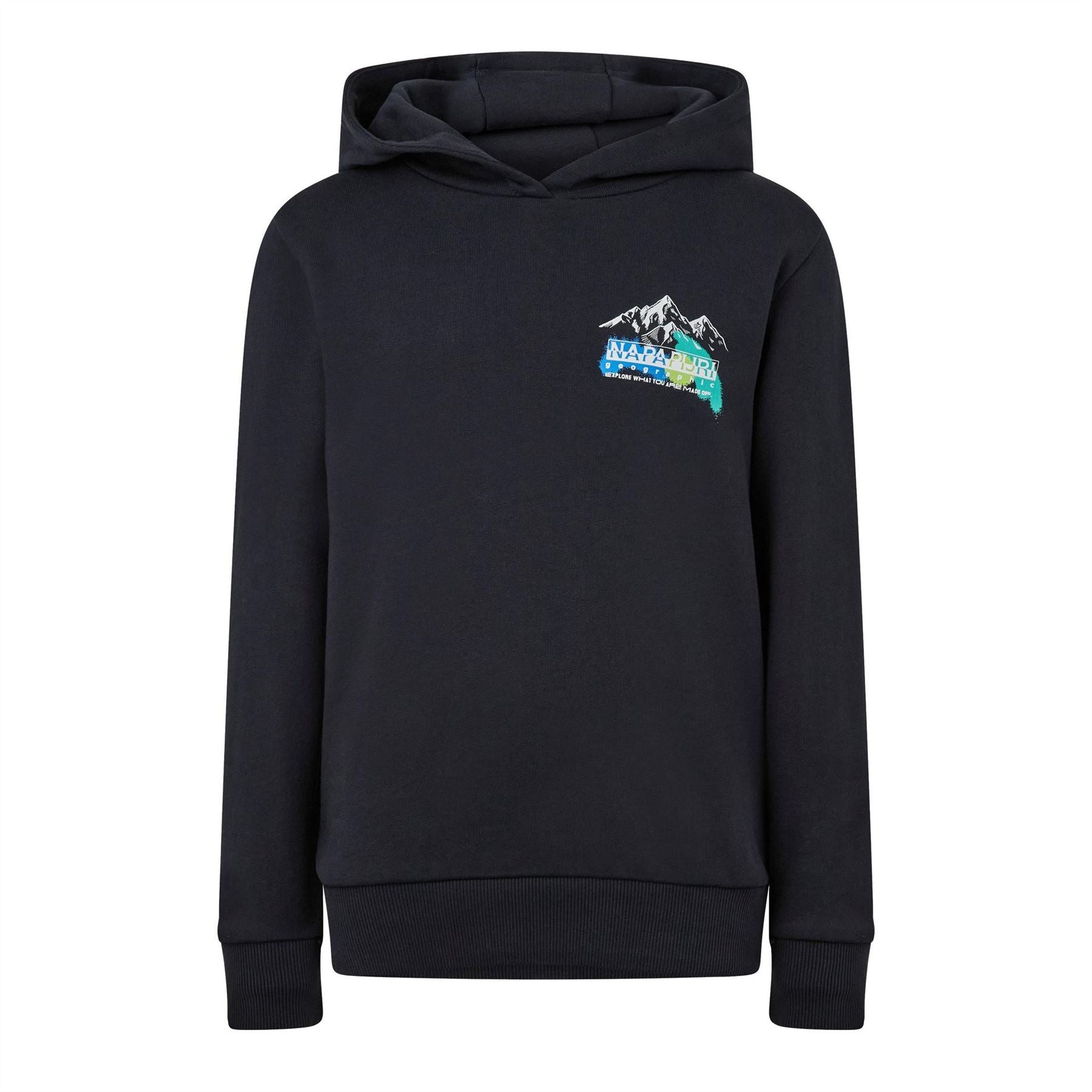 Napapijri Hooded Text Graphic Long Sleeve Sweatshirt