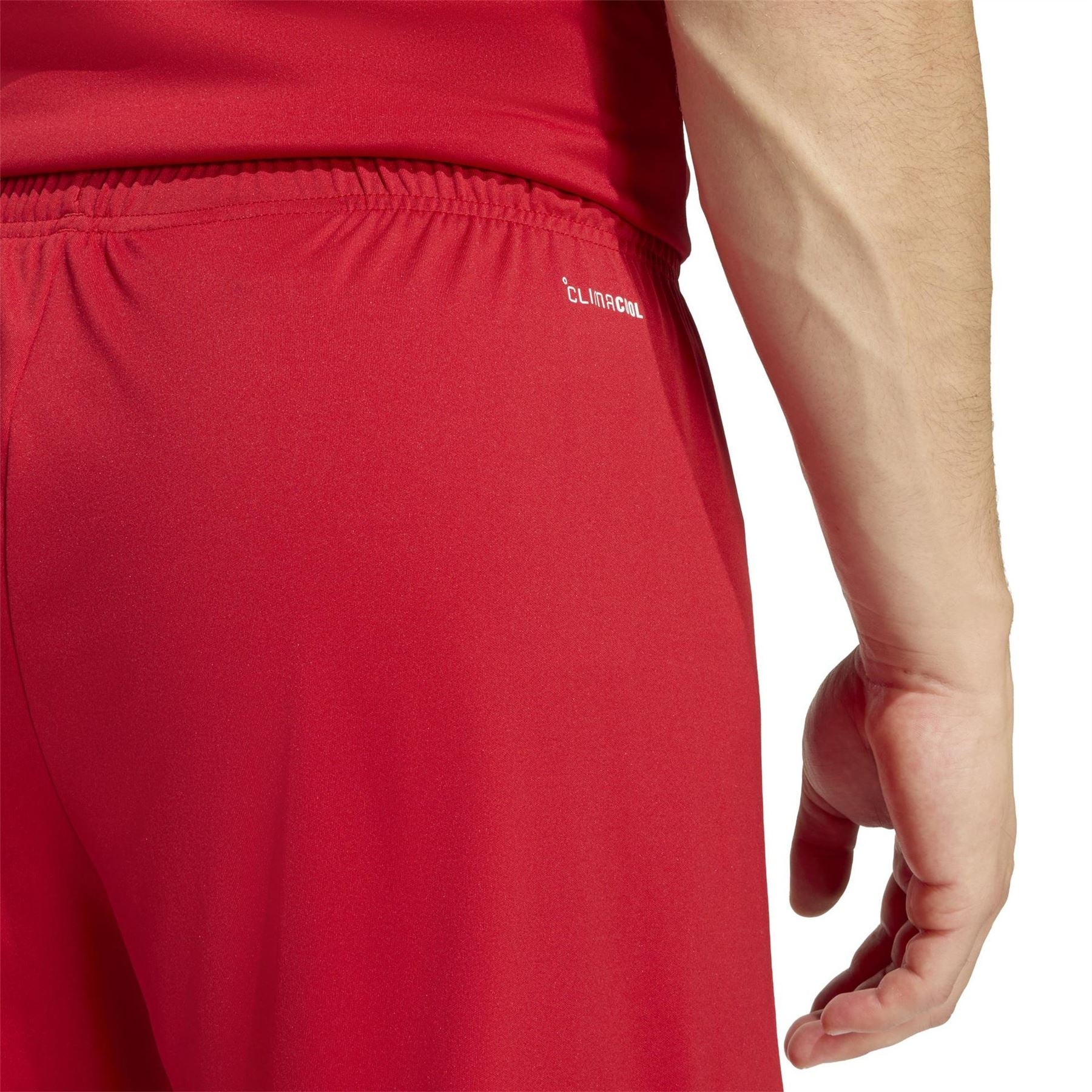 adidas Mens Entrada 22 Shorts