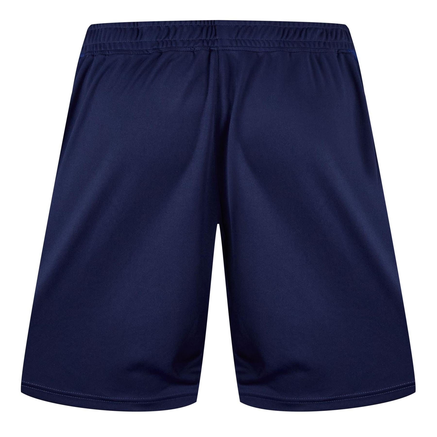 Castore Scarlets Training Shorts 2024 2025 Adults