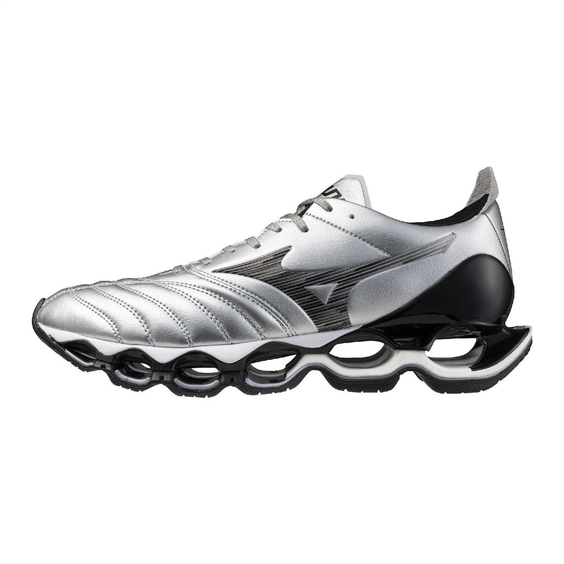 Mizuno Wave Prophecy
