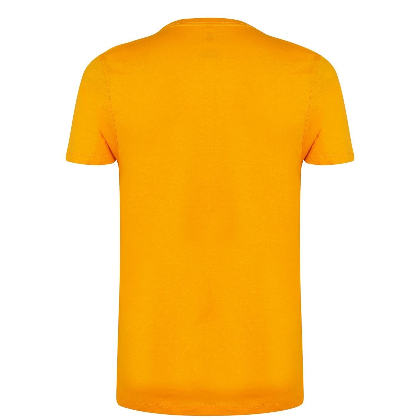 Golds Gym Mens Gym Muscle Joe T-Shirt