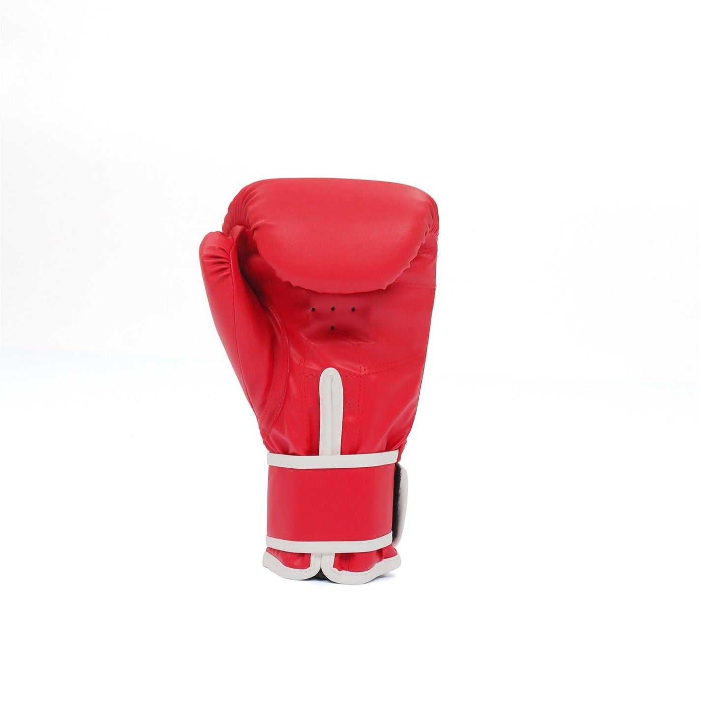 Everlast Core2 Boxing Glove