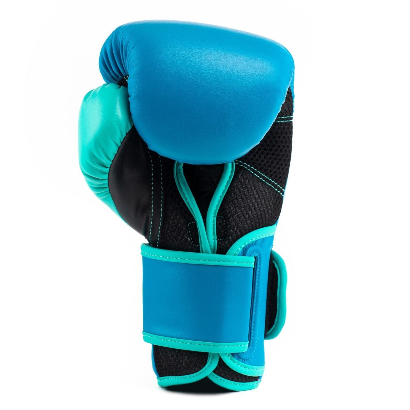Everlast Boxing Hook  And  Loop Glove