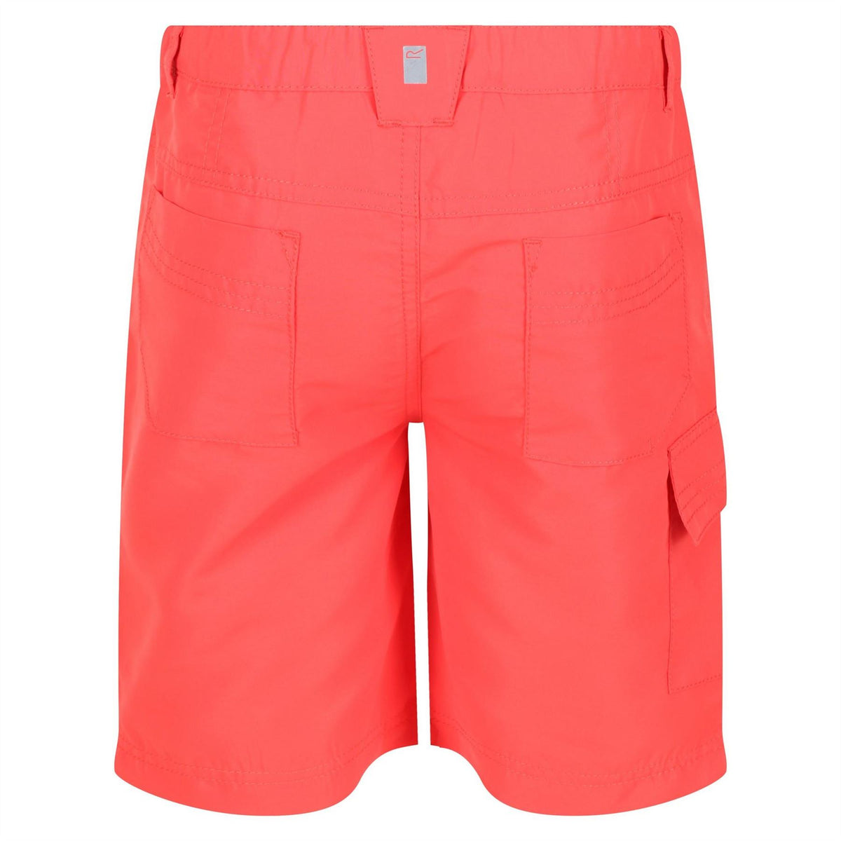 Regatta Sorcer Ii Walking Shorts