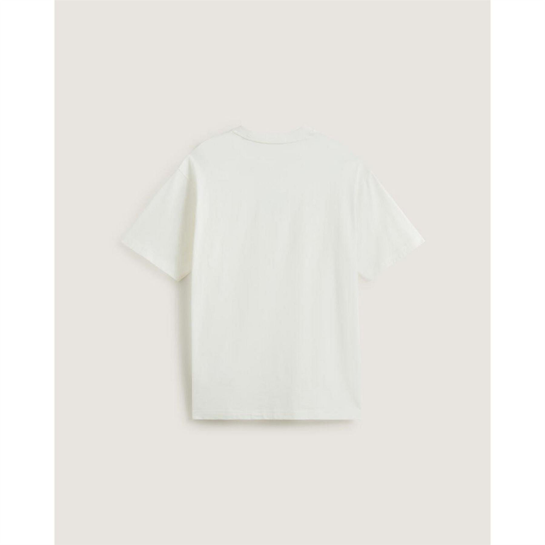 Vans Blocked Box Oversized T-Shirt