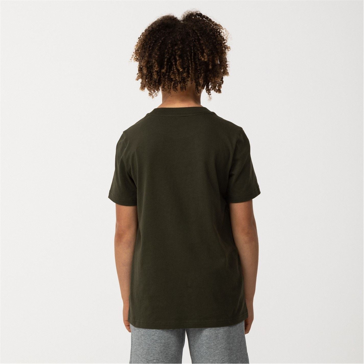 Puma Essentials Graphic Regular Fit T Shirt