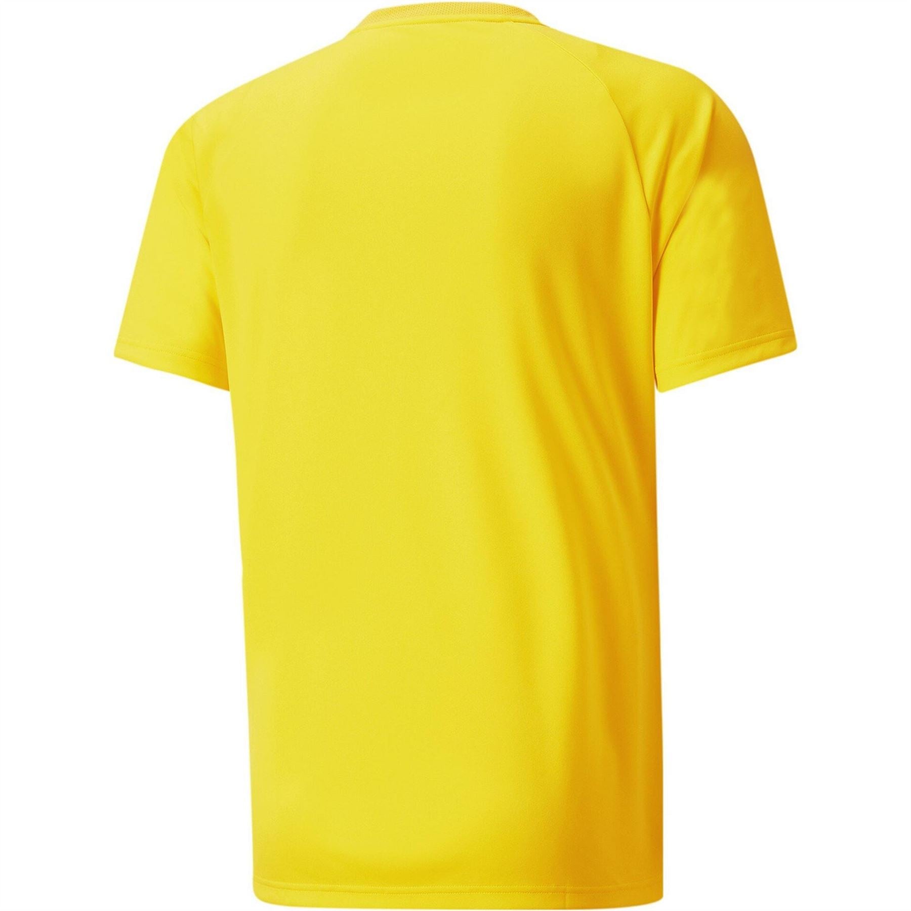 Puma Mens Teamvision Jersey T-Shirt