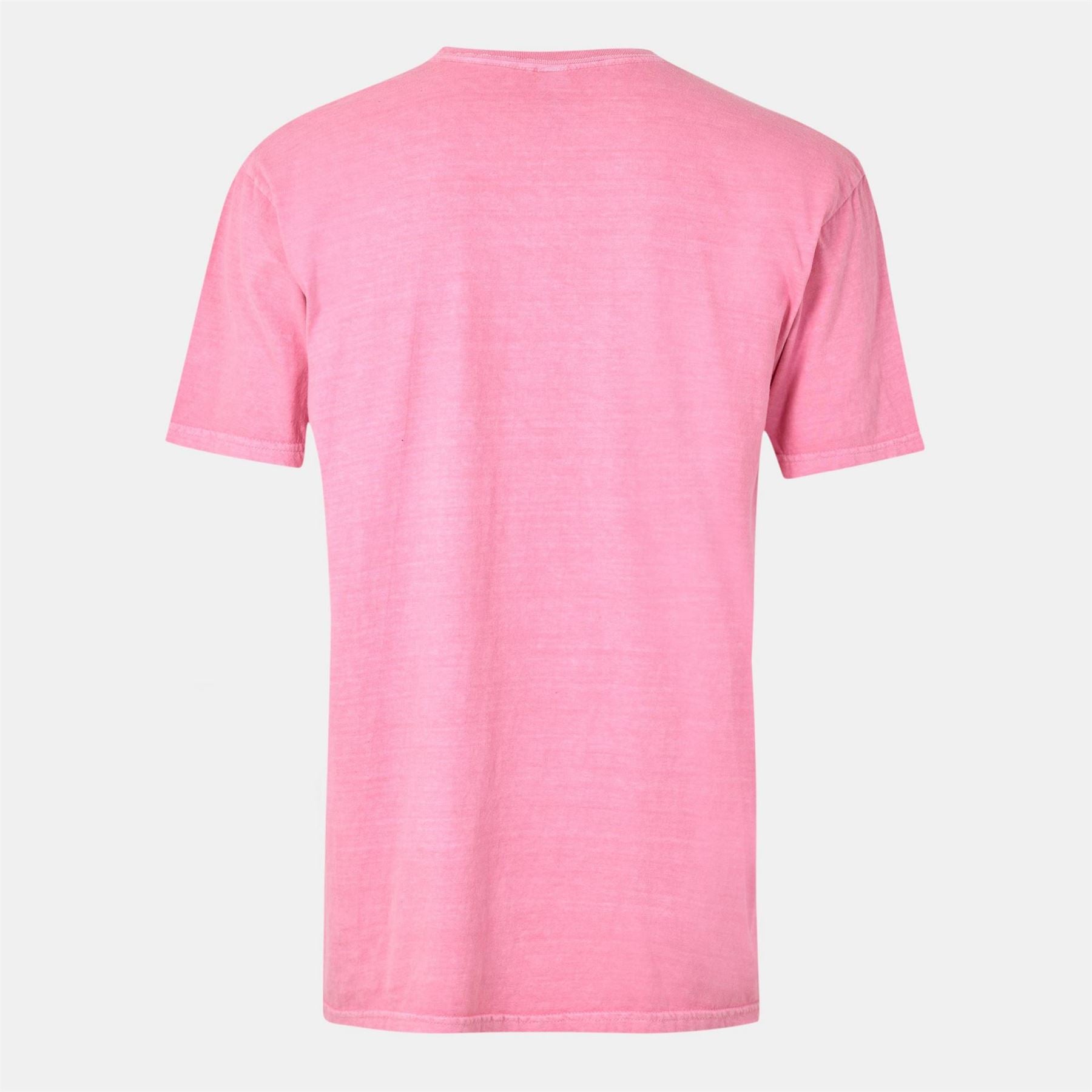 Official Oasis Lettering Regular Fit T-Shirt
