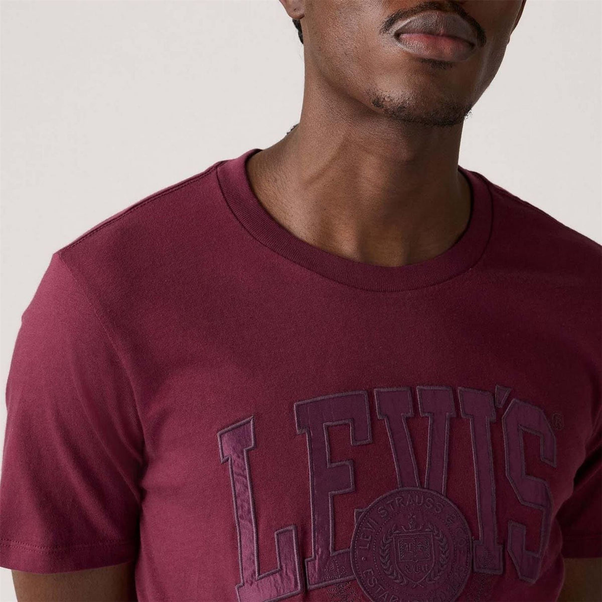 Levis Graphic T-Shirt