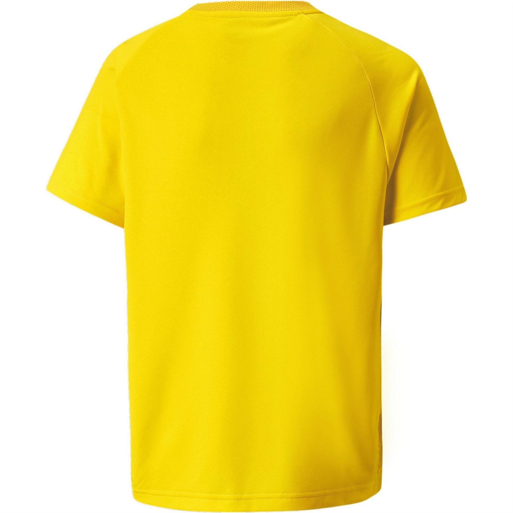 Puma Teamvision Jersey Jr T-Shirt Unisex Kids