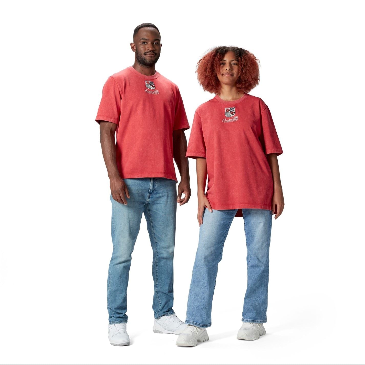 Canterbury Mens British  And  Irish Lions Heritage T-Shirt 2025