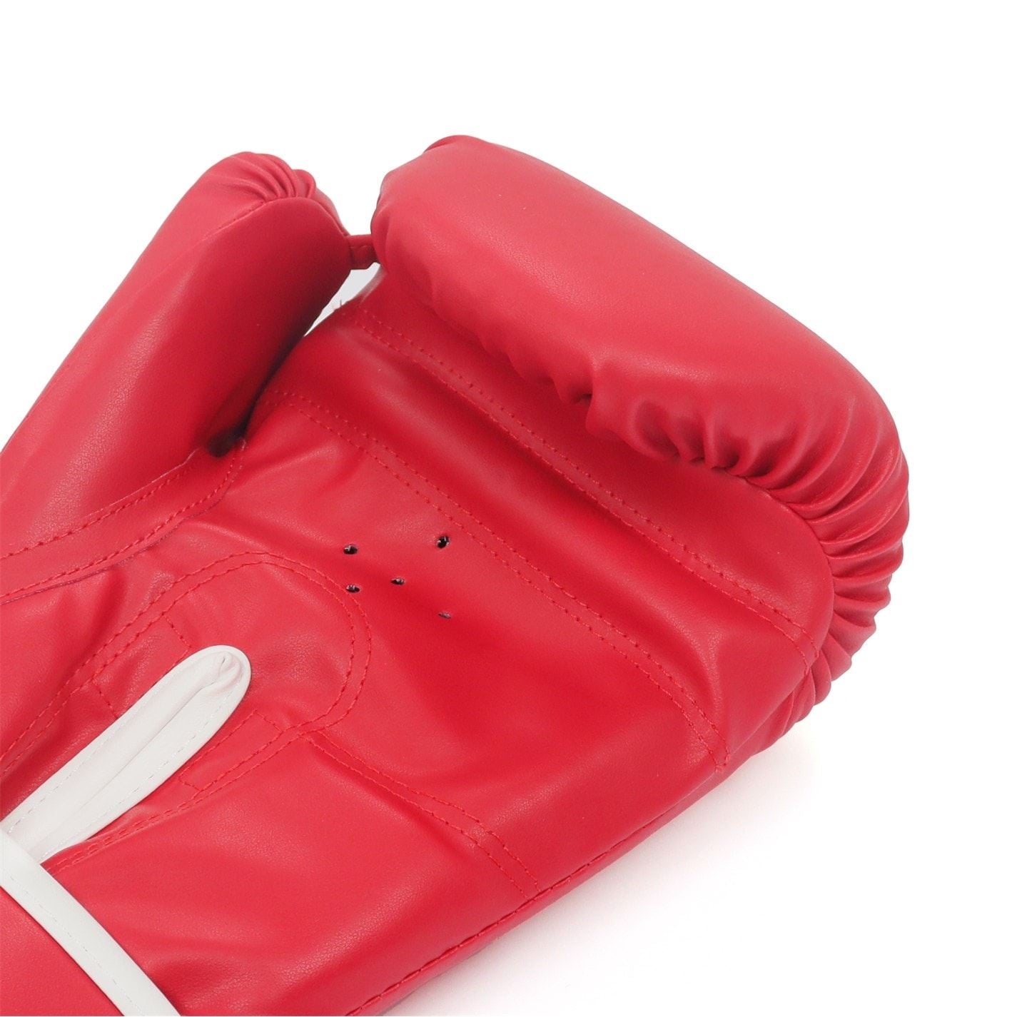 Everlast Core2 Boxing Glove