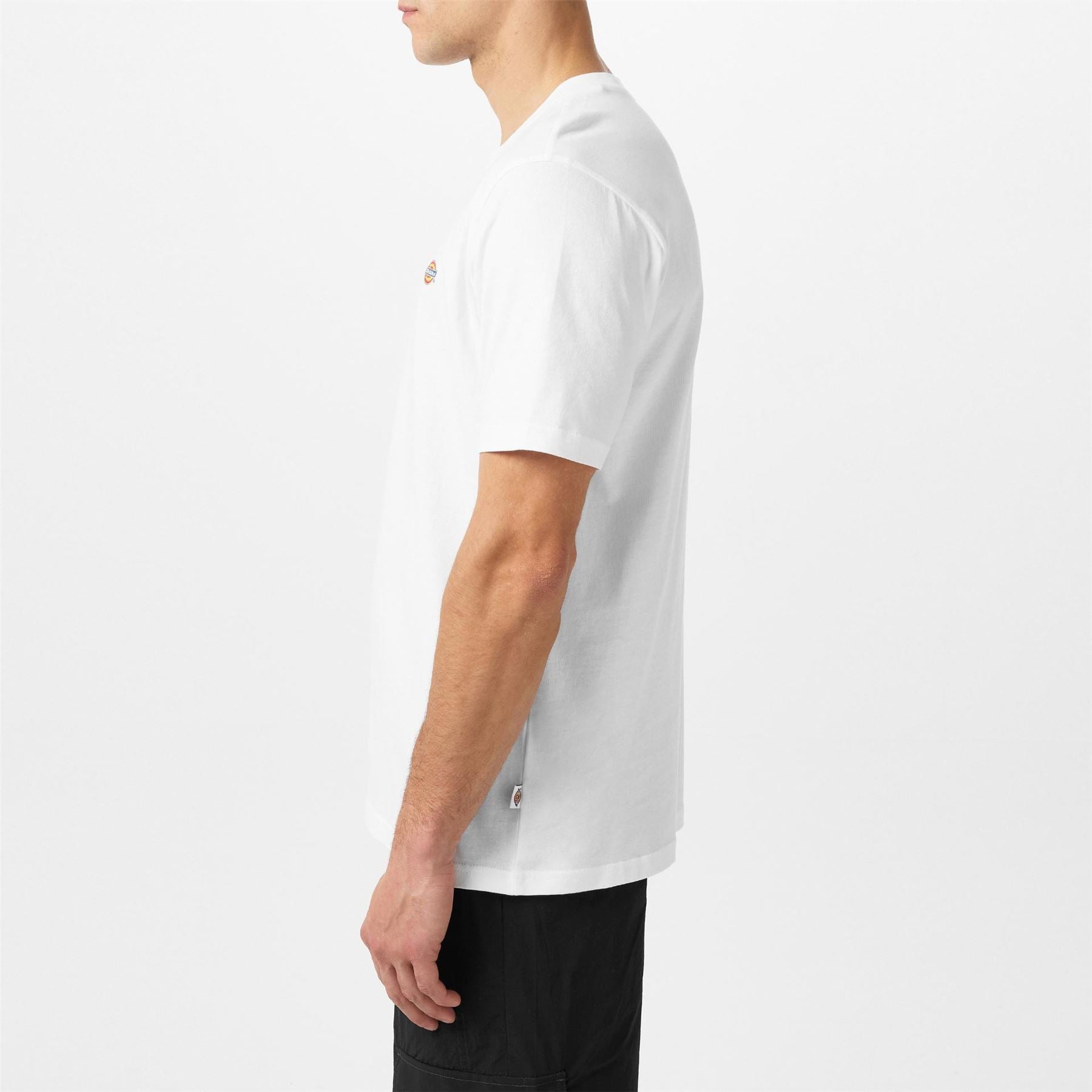 Dickies Regular Fit Mapleton T-Shirt