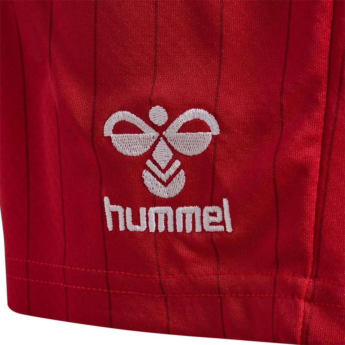 Hummel Denmark International Football Shorts