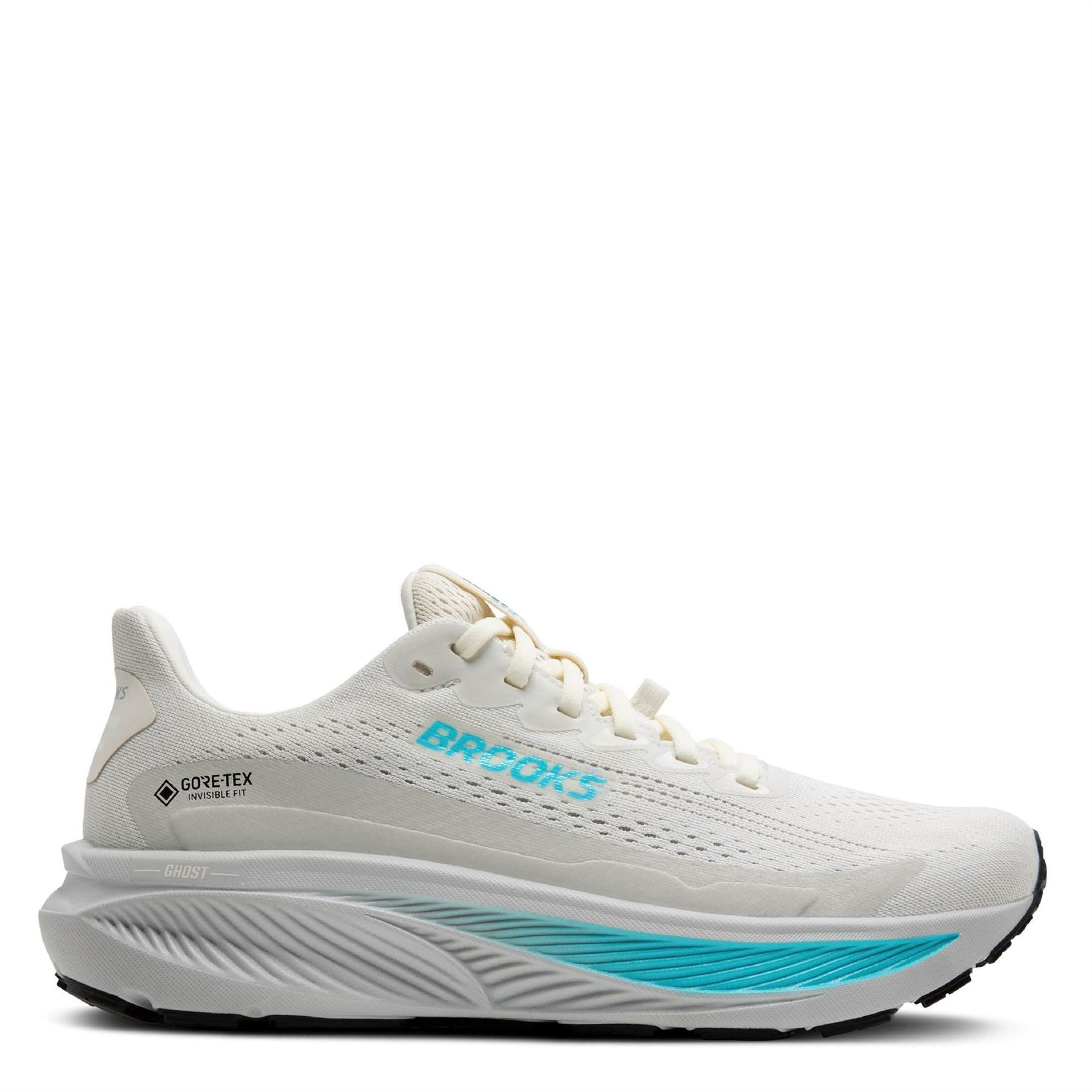 Brooks Womens Ghost 17 GorE-Tex Road Running Shoes