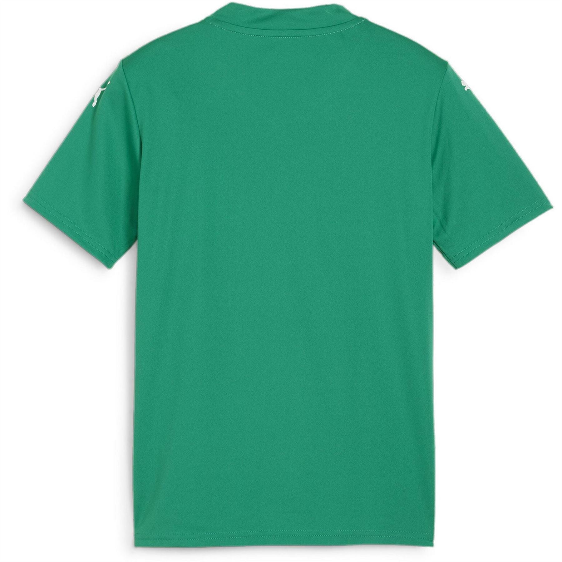 Puma Teamglory Jersey Jr T-Shirt Unisex Kids