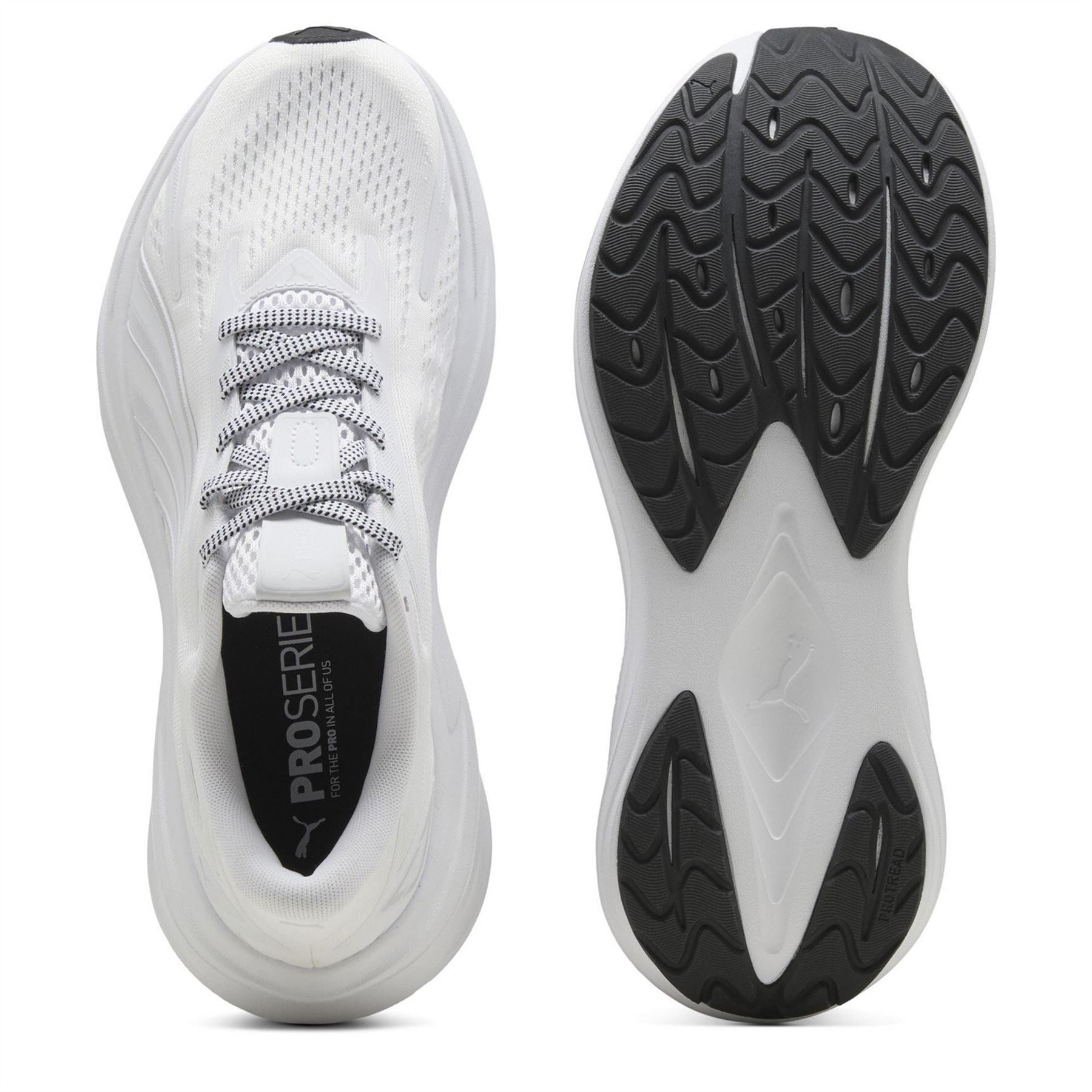 Puma Maxima Pro