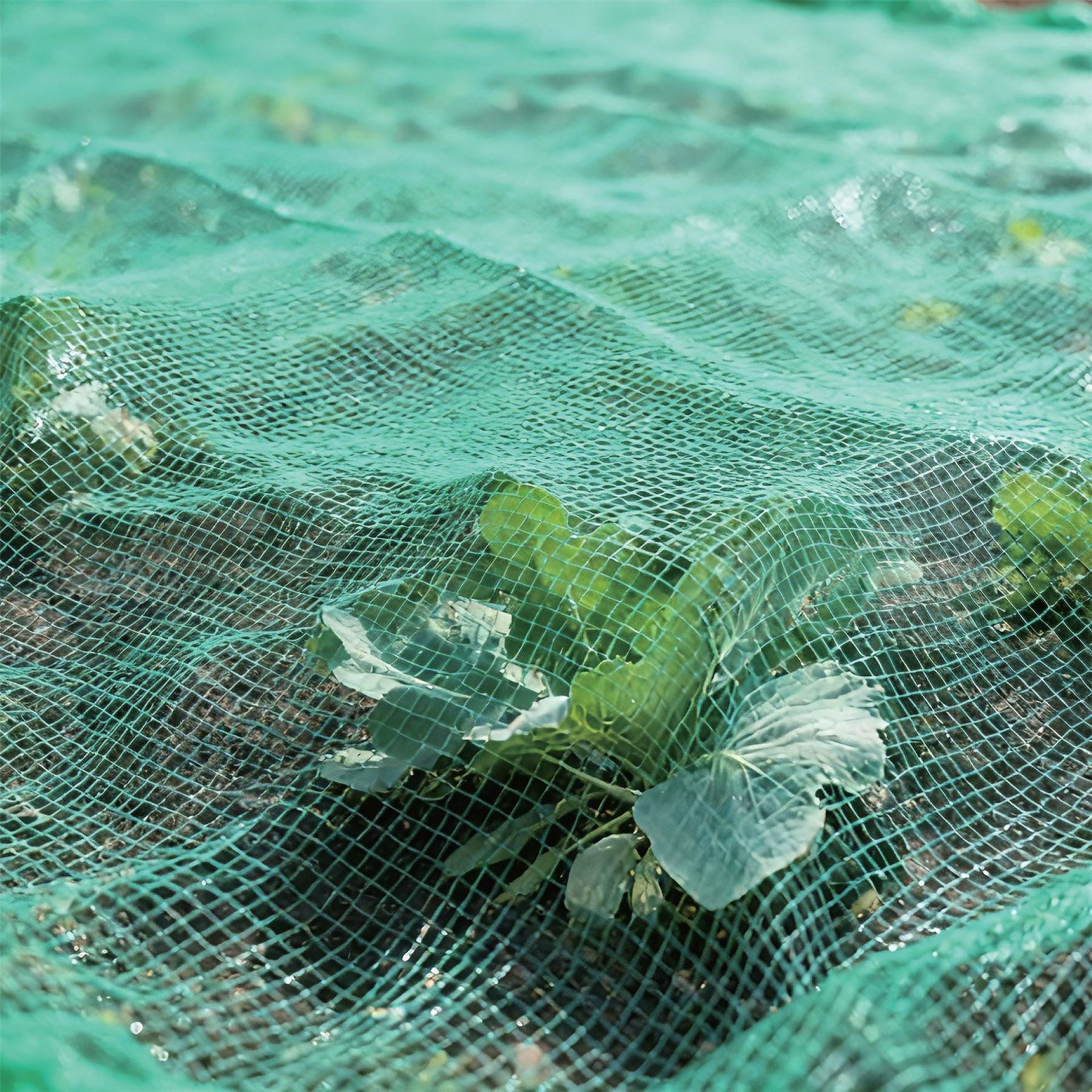 Dekton Garden Netting