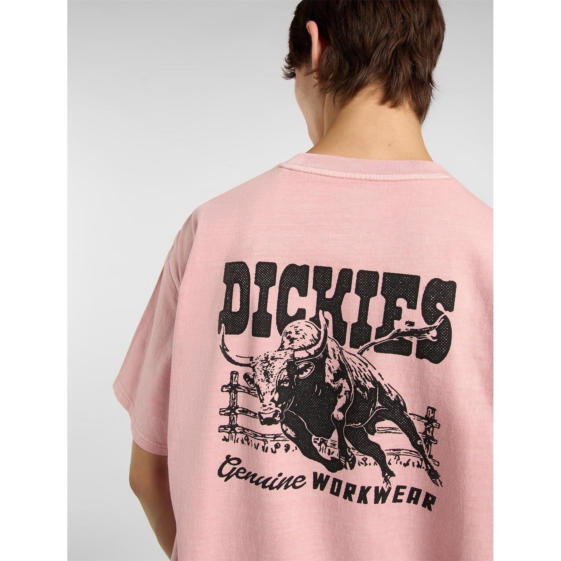Dickies Mens Buchtell Tee