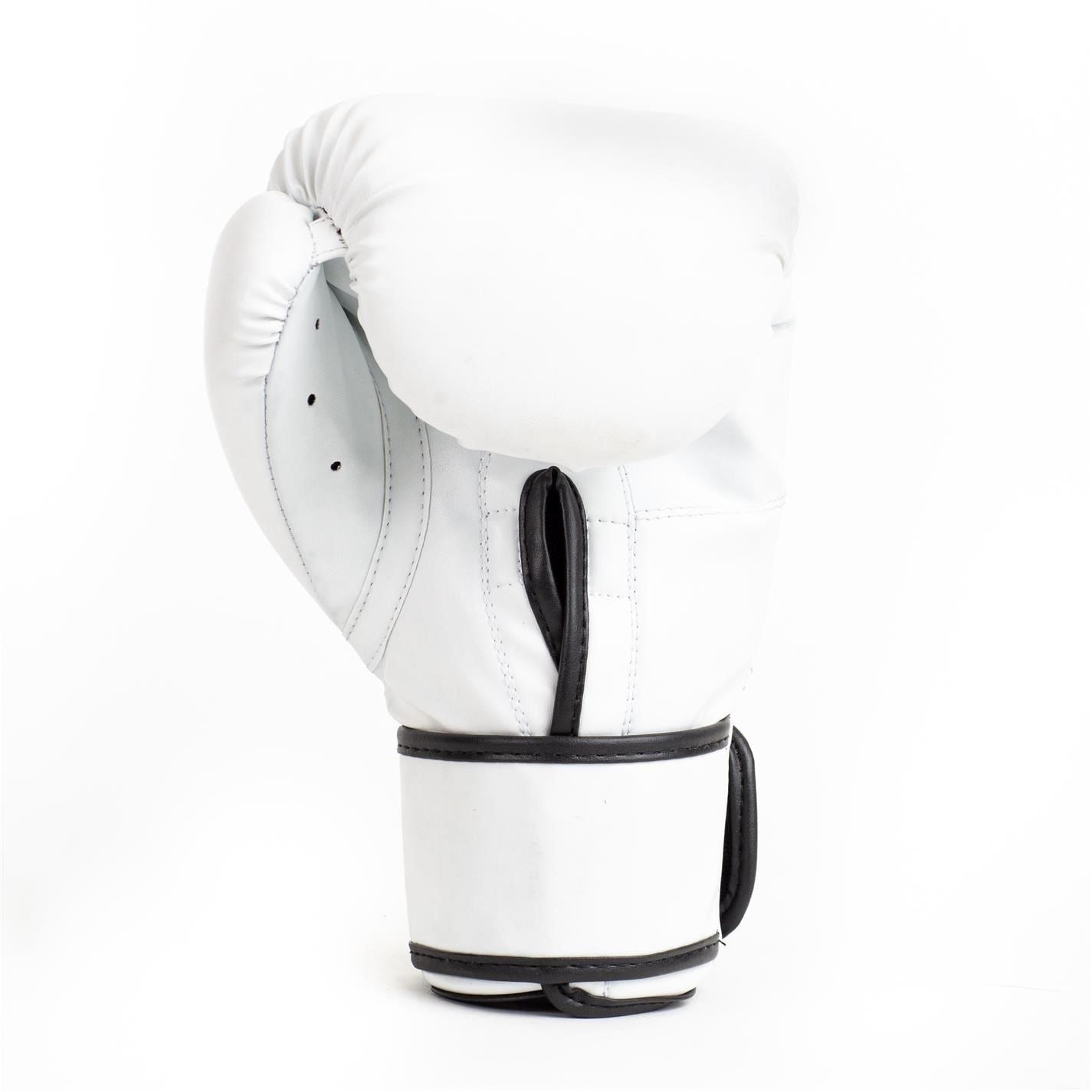 Everlast Core2 Boxing Glove