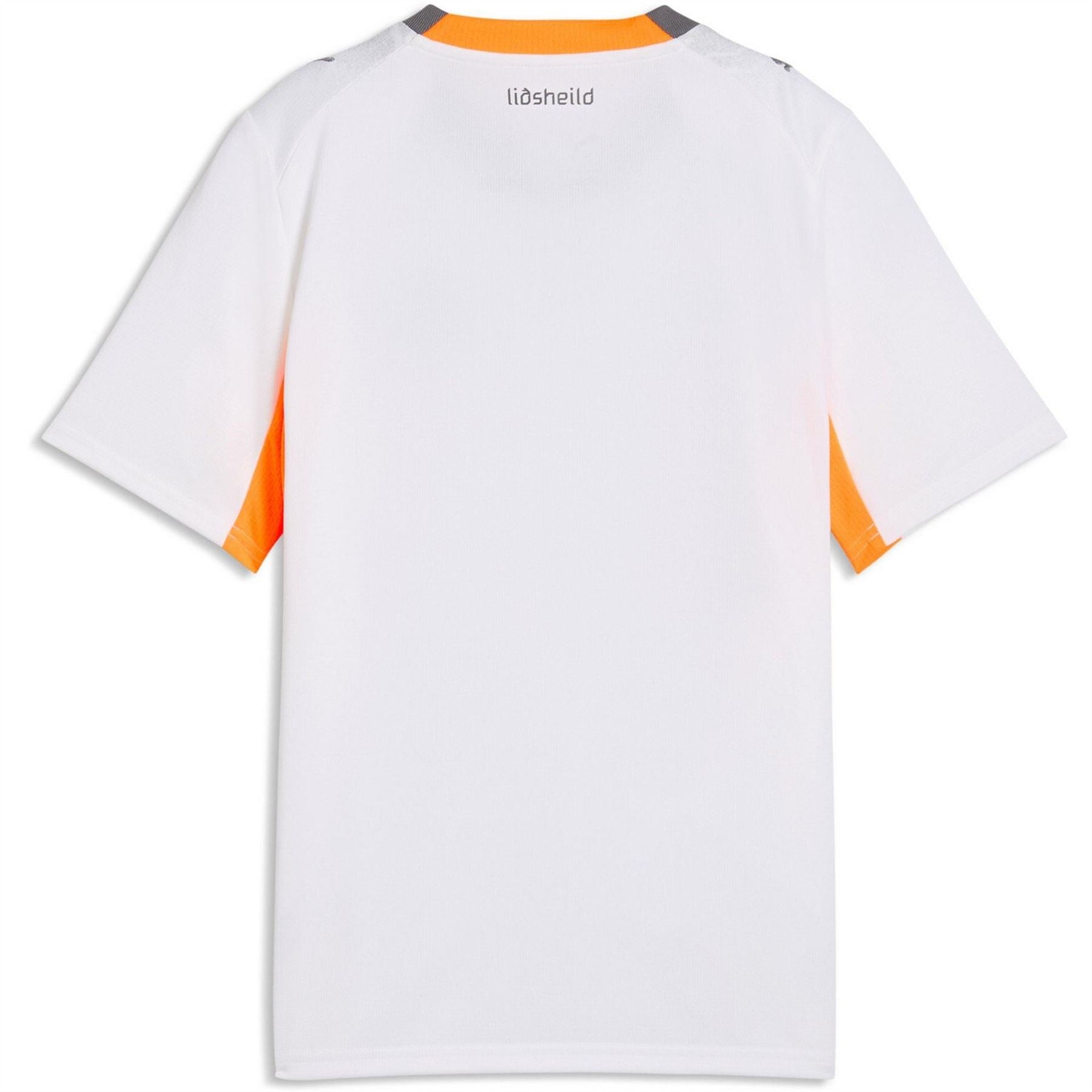 Puma Iceland 2026 Football Shirt