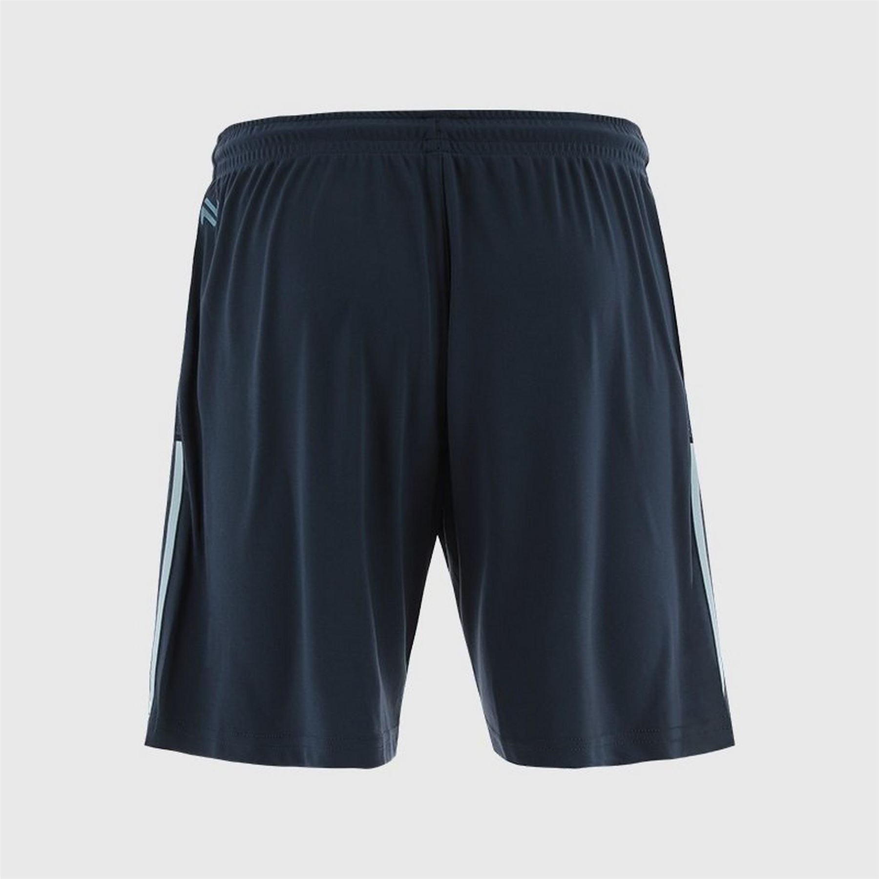 ONeills Cavan Nepal Poly Shorts Senior