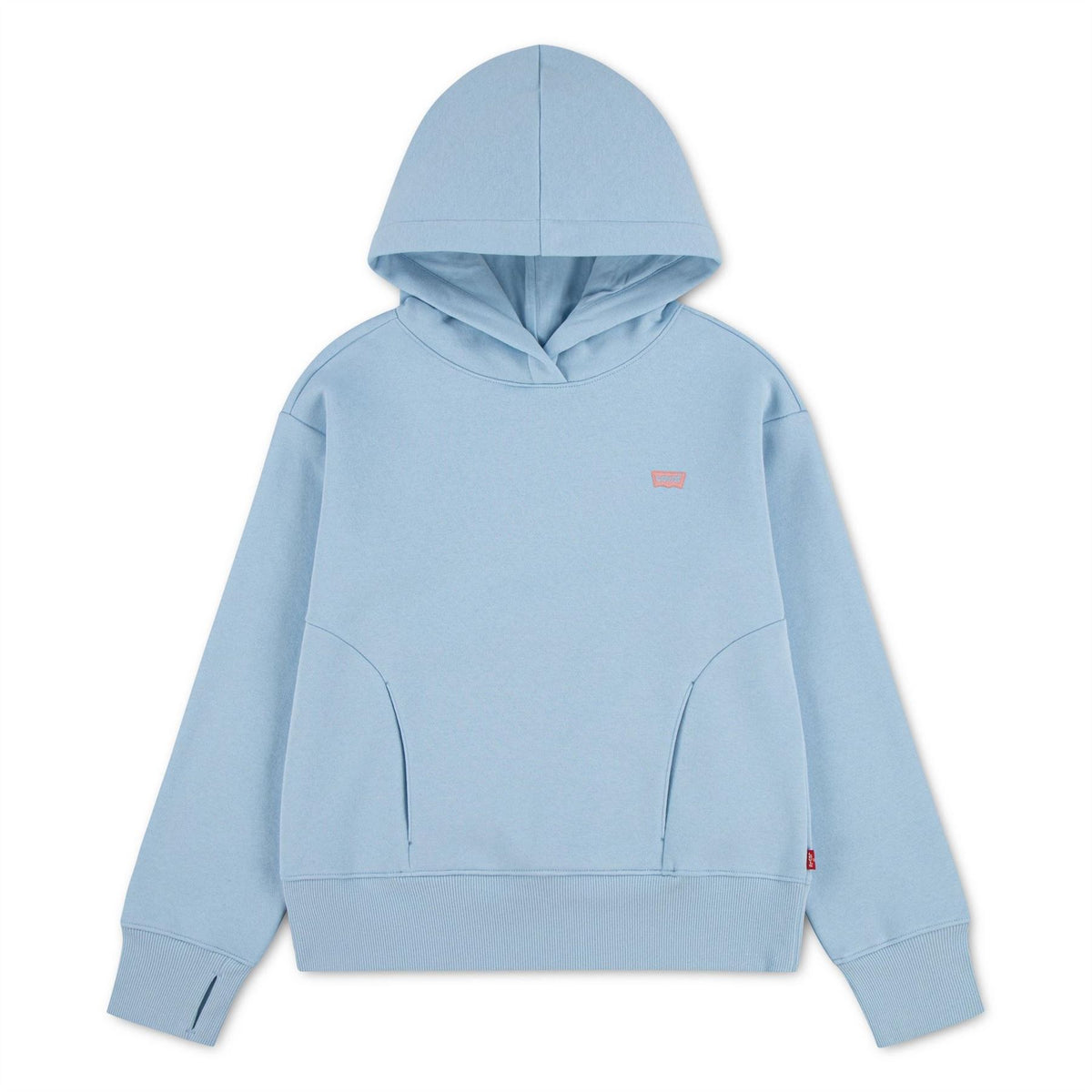 Levis Small Logo Over The Head Cotton Hoodie